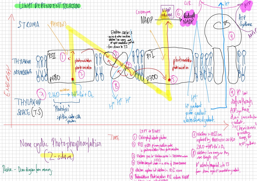 Life Sciences Tutoring's image