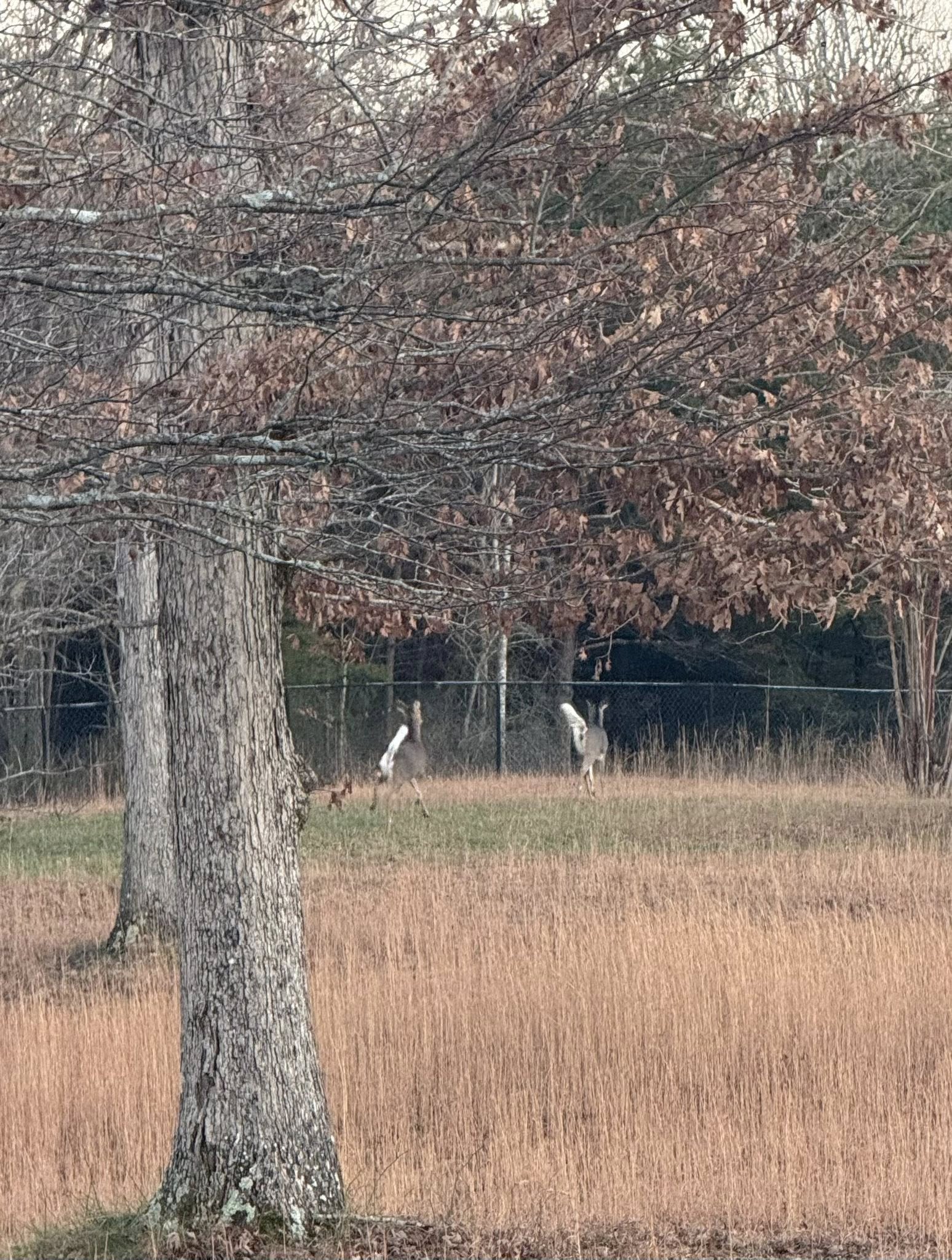 Scent Garden Bakery's image