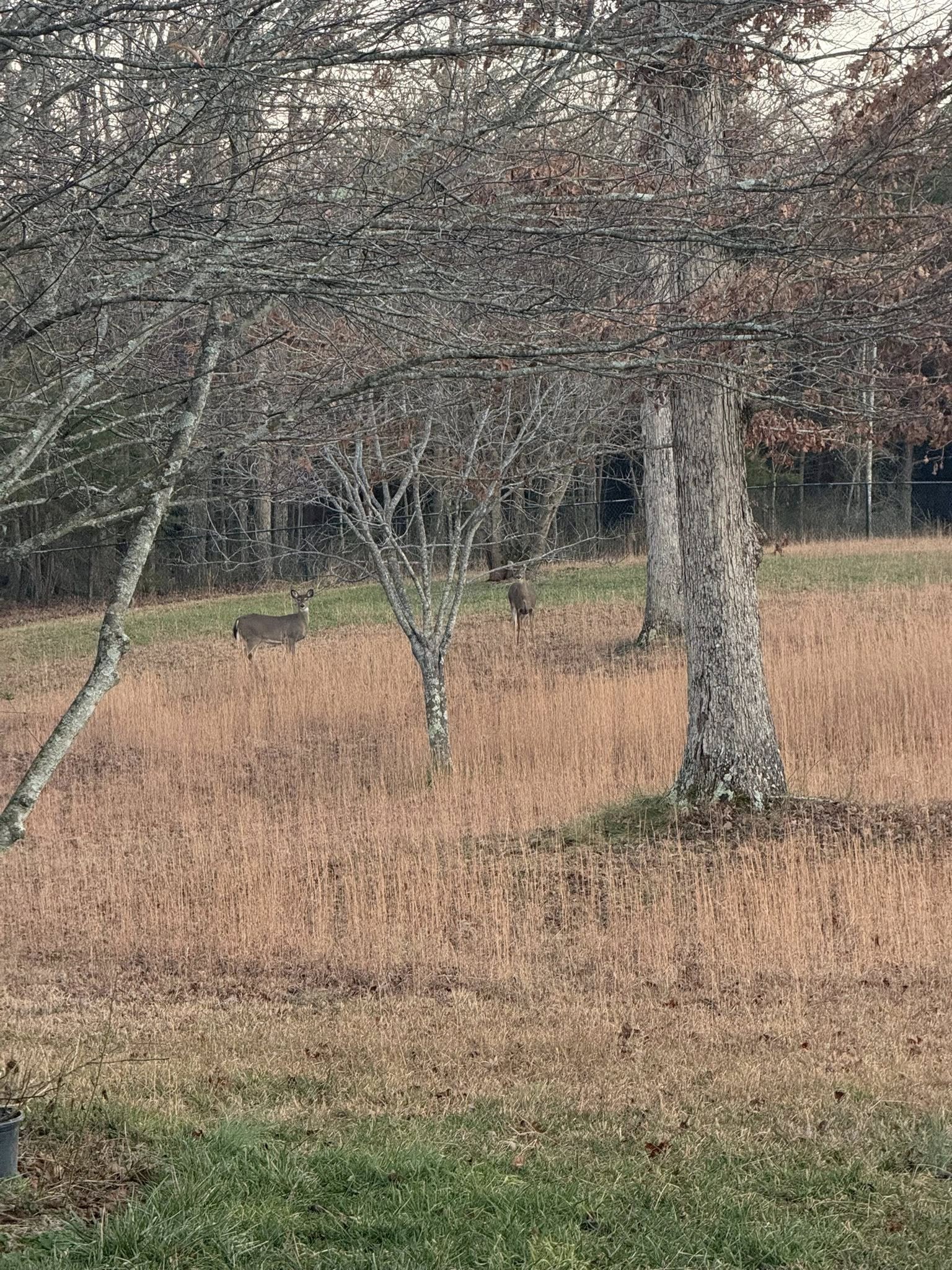 Scent Garden Bakery's image