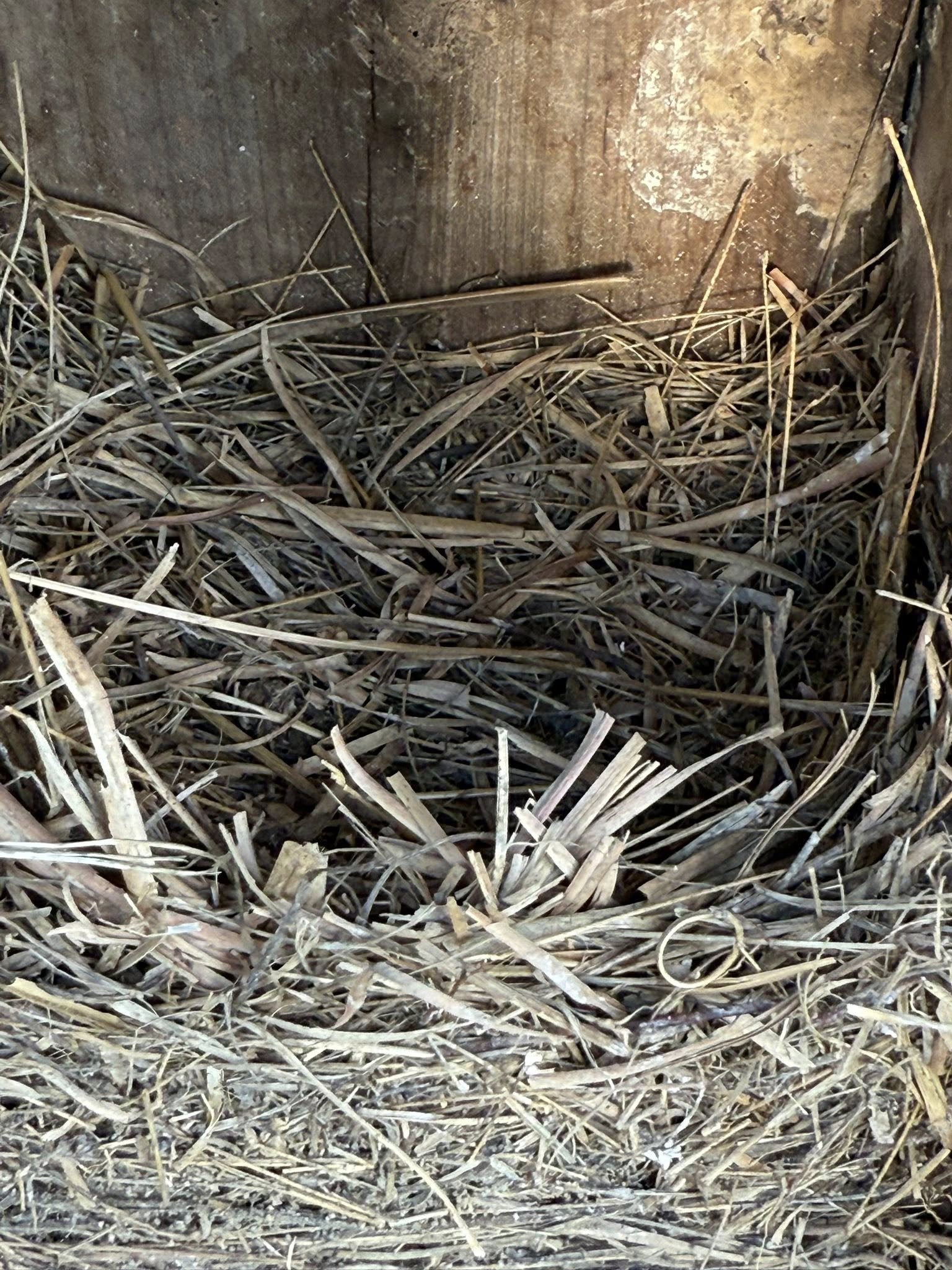 Scent Garden Bakery's image