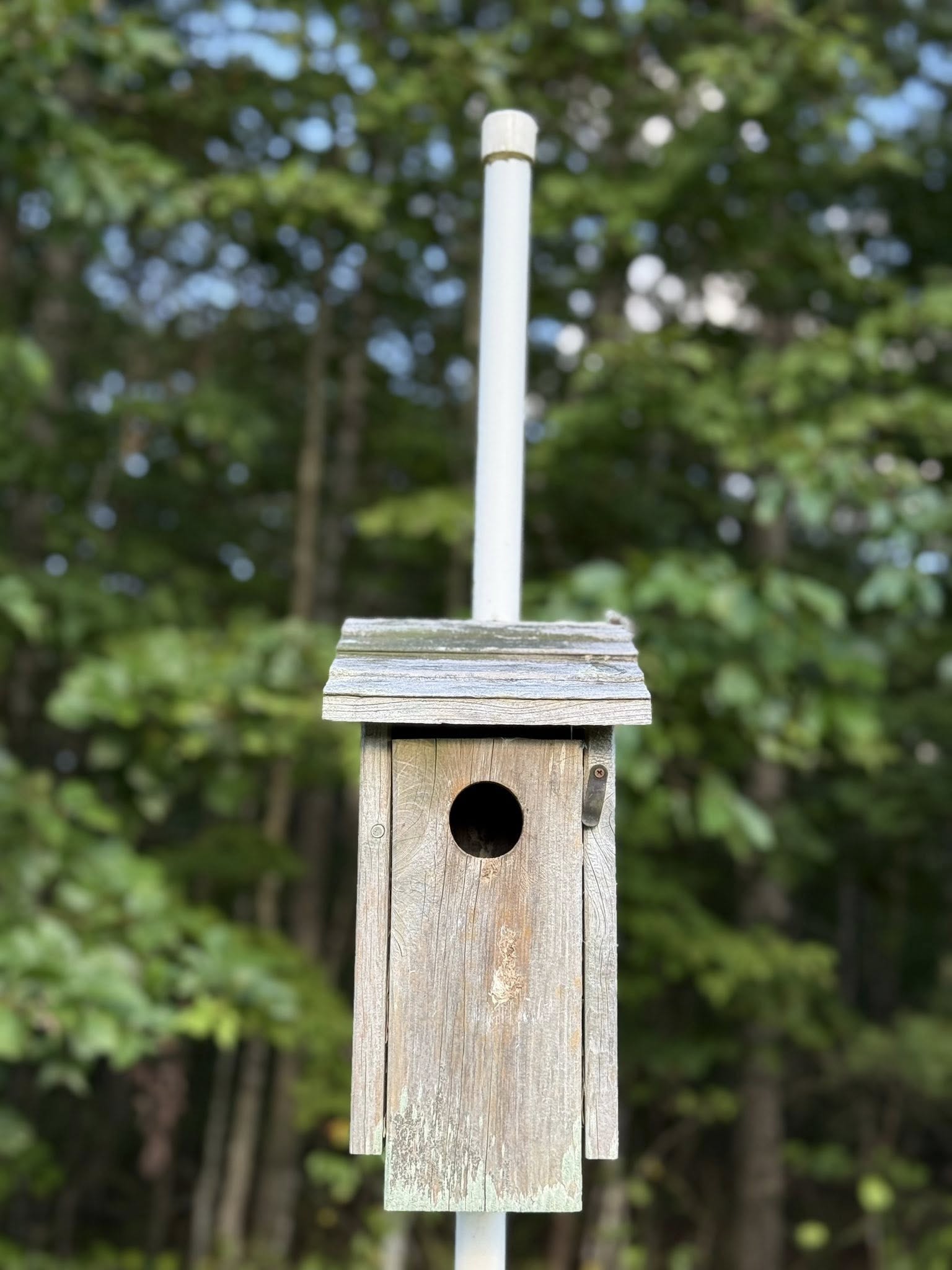 Scent Garden Bakery's image