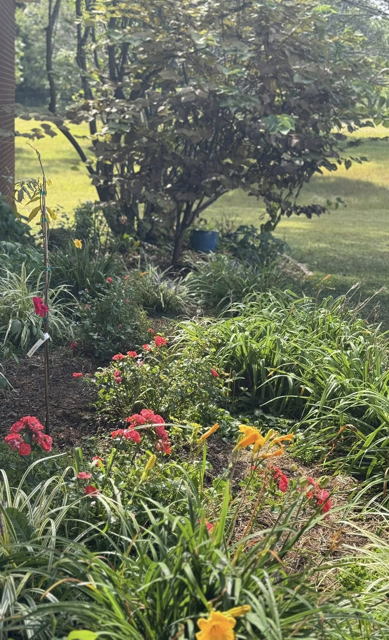 Scent Garden Bakery's image