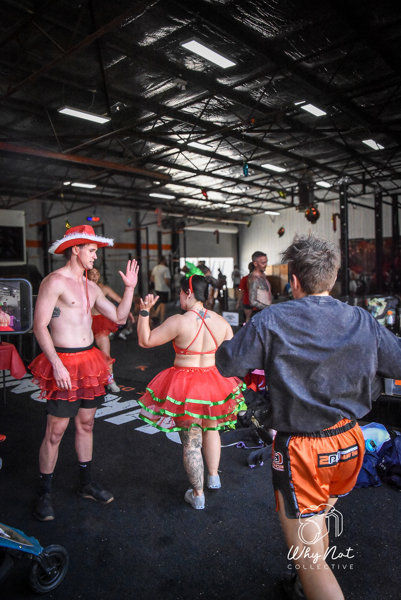 Why Not Collective's image