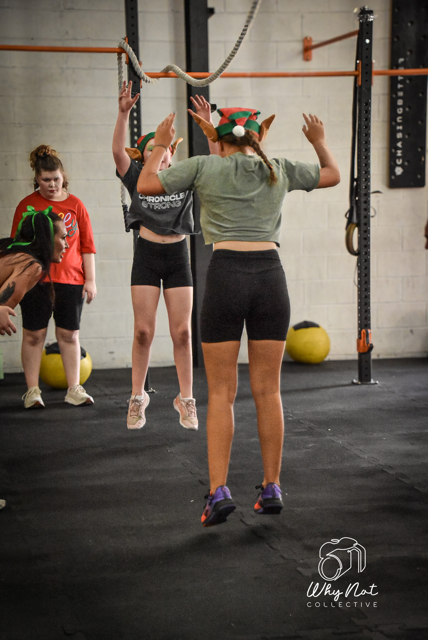 Why Not Collective's image