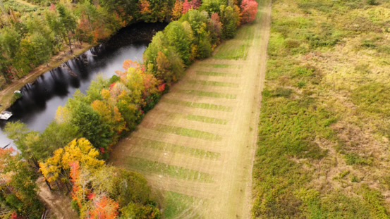 Mountain View Camping's image