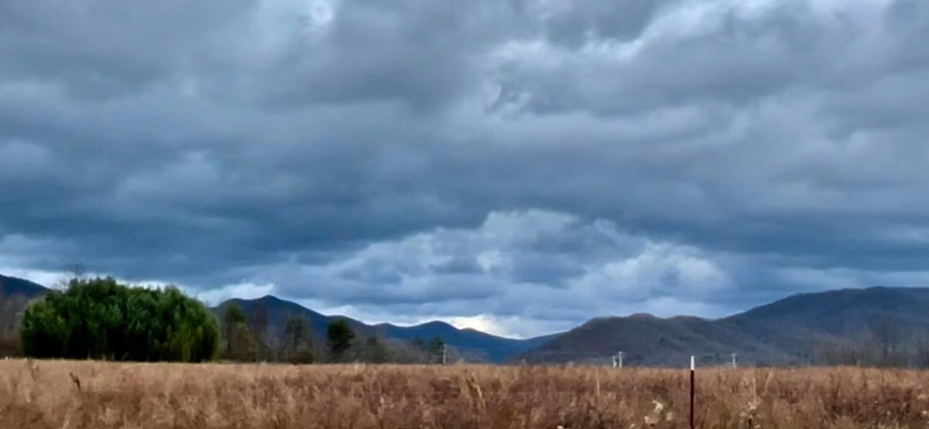 Mountain View Camping's image