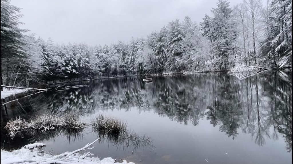 Mountain View Camping's image