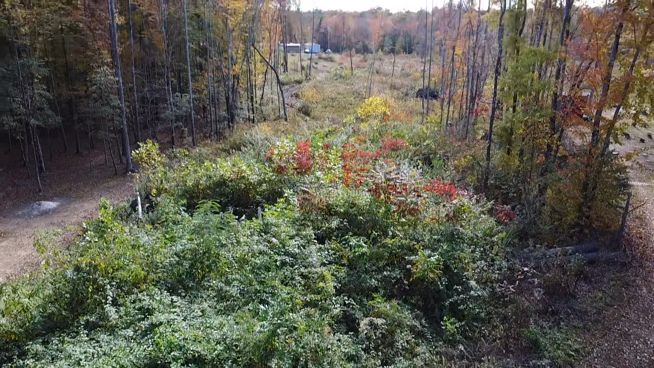 Mountain View Camping's image