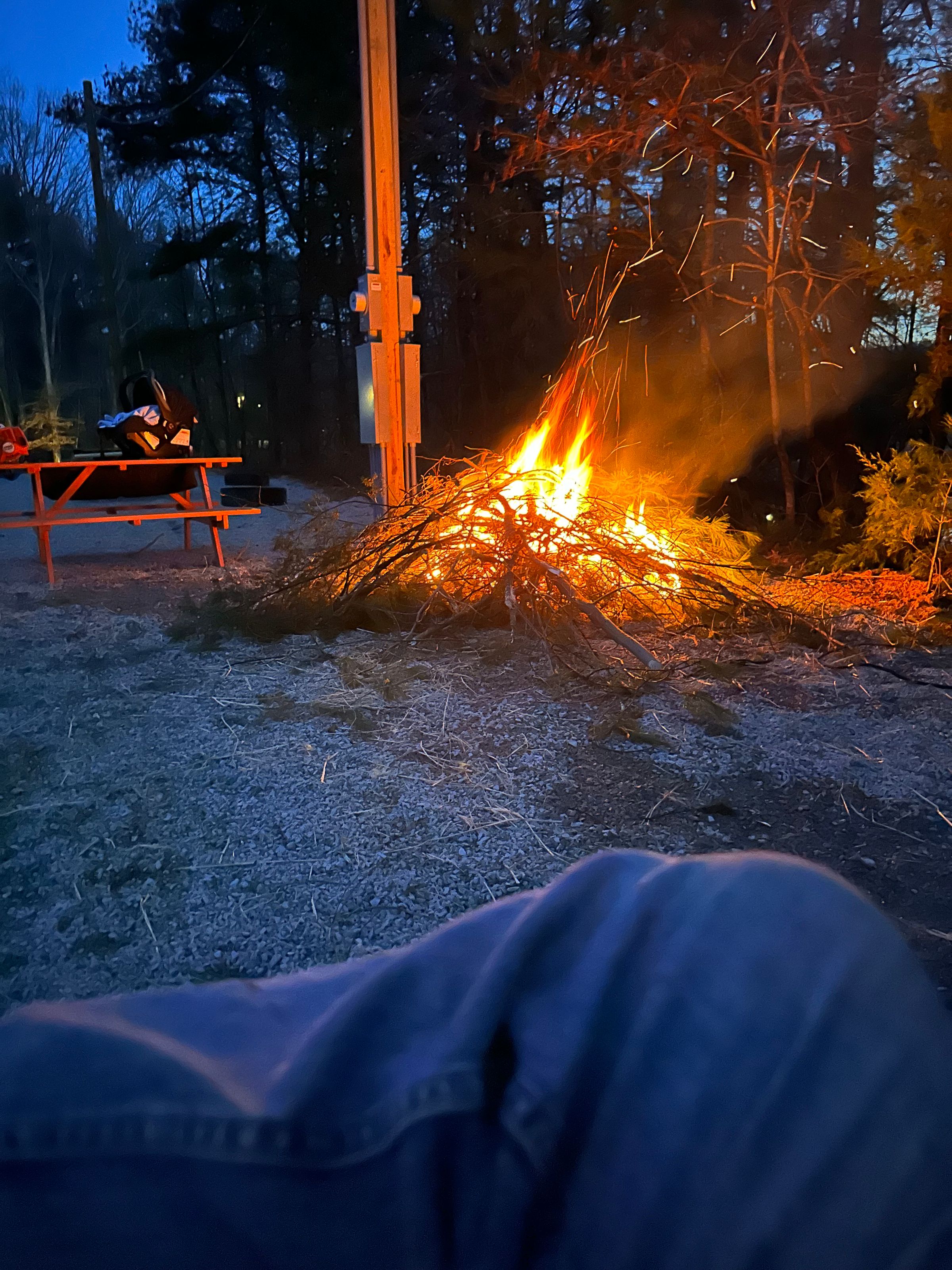 Mountain View Camping's image