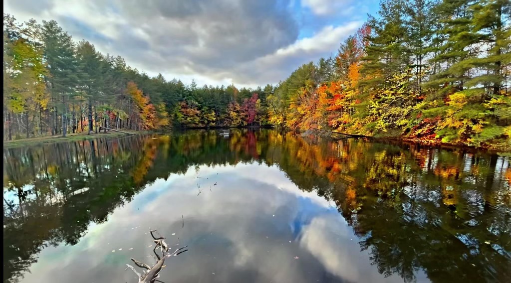 Mountain View Camping's image