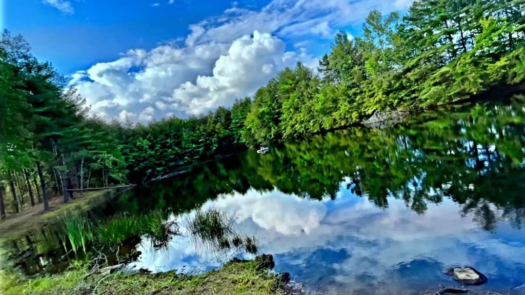 Mountain View Camping's image