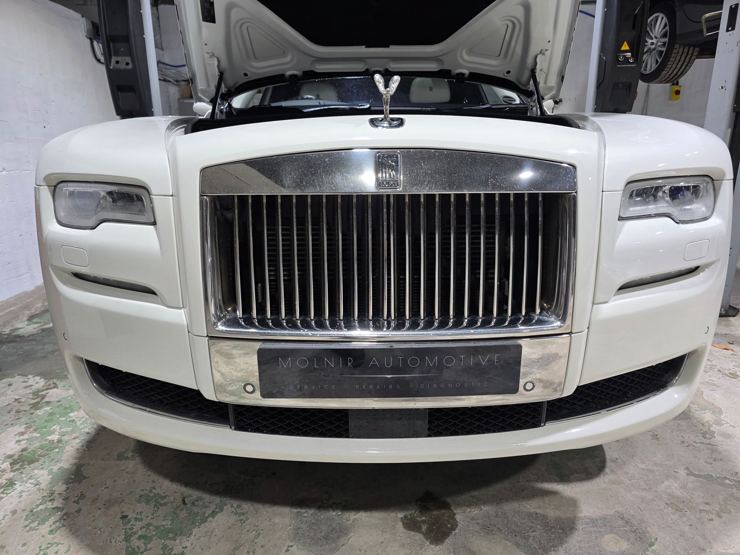 Molnir Automotive's image