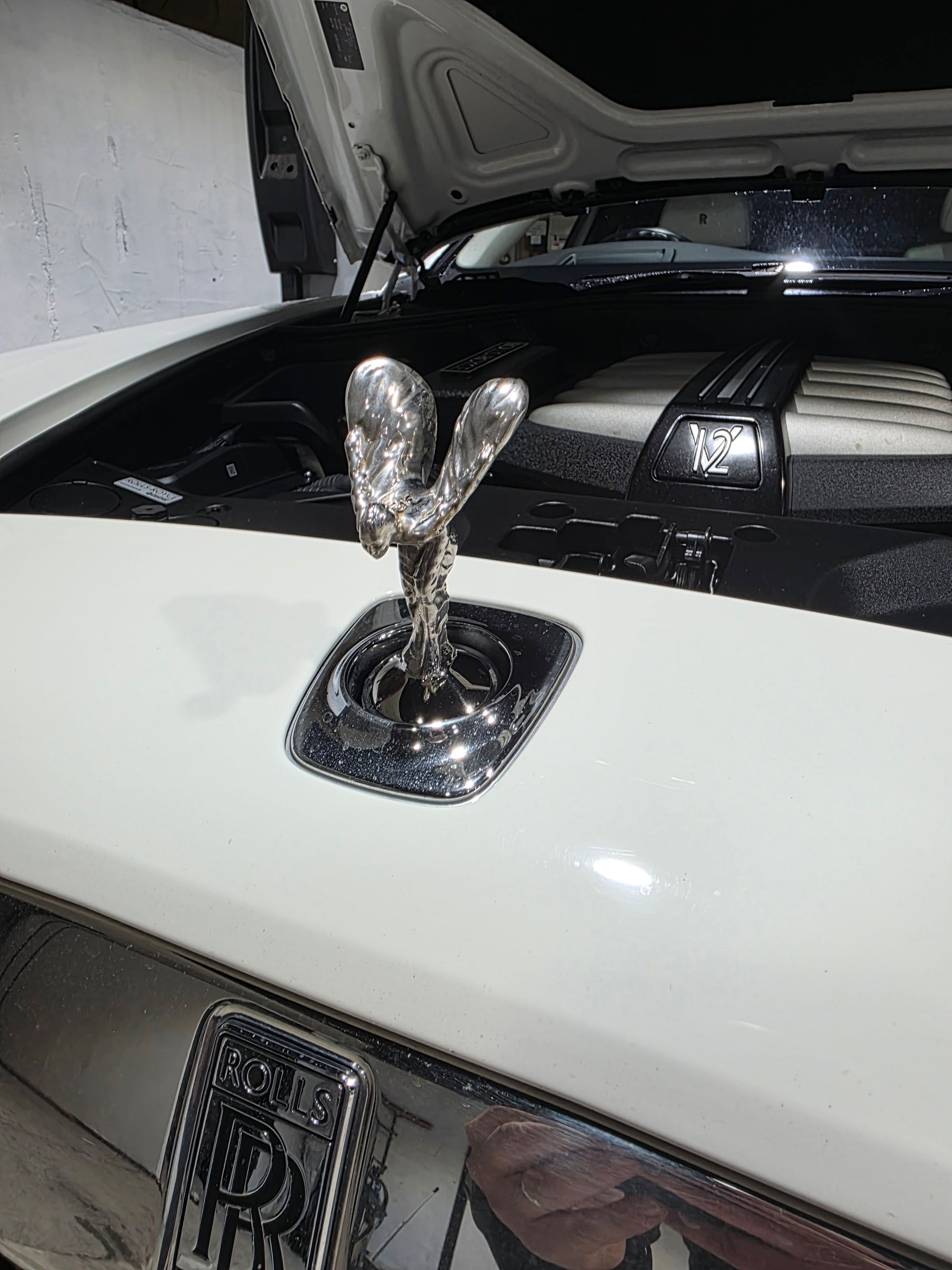 Molnir Automotive's image