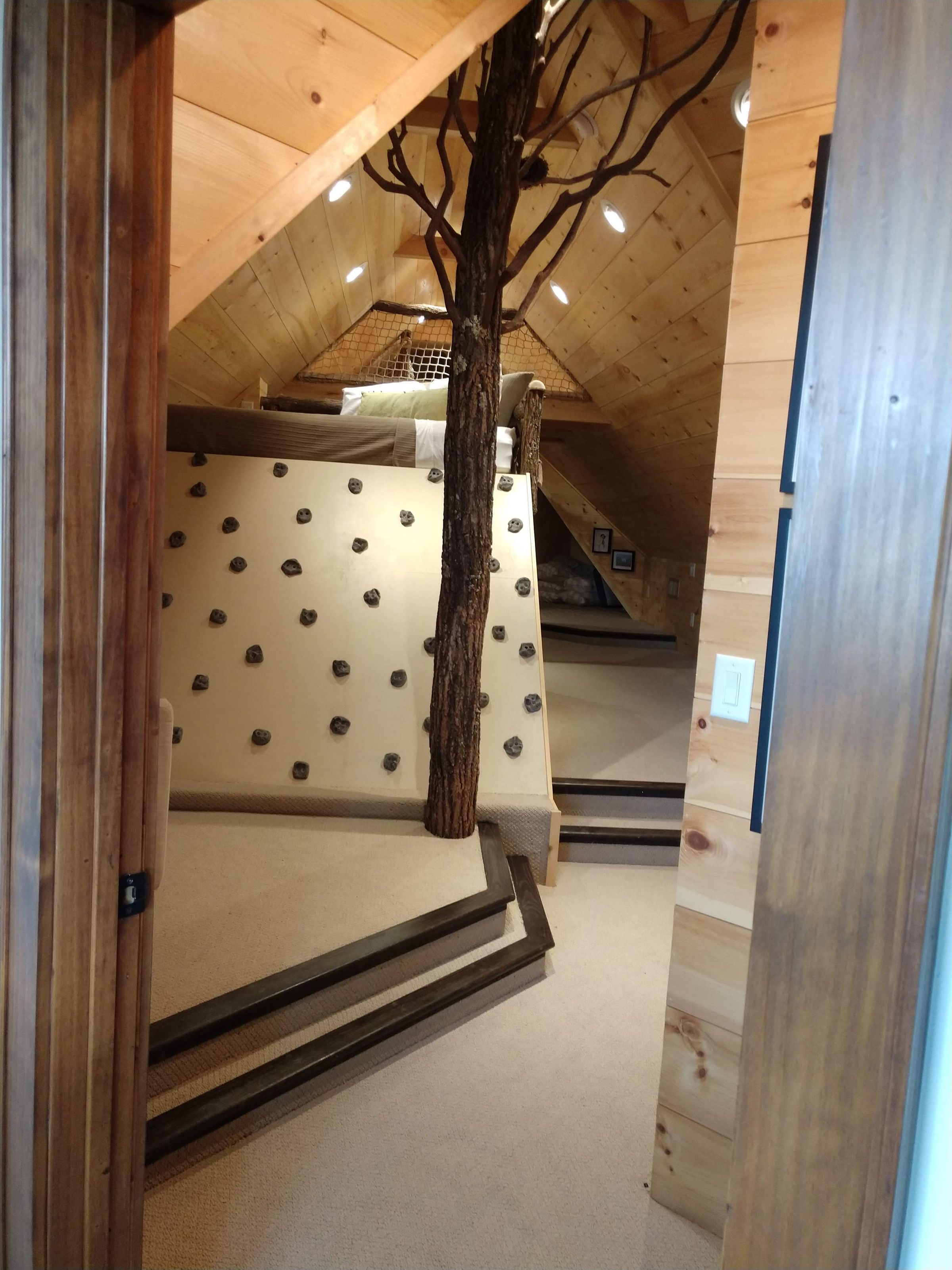 Mountain Trail Construction 's image