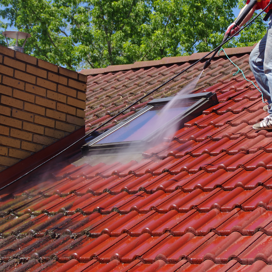 Expert Soft Wash Solutions's image