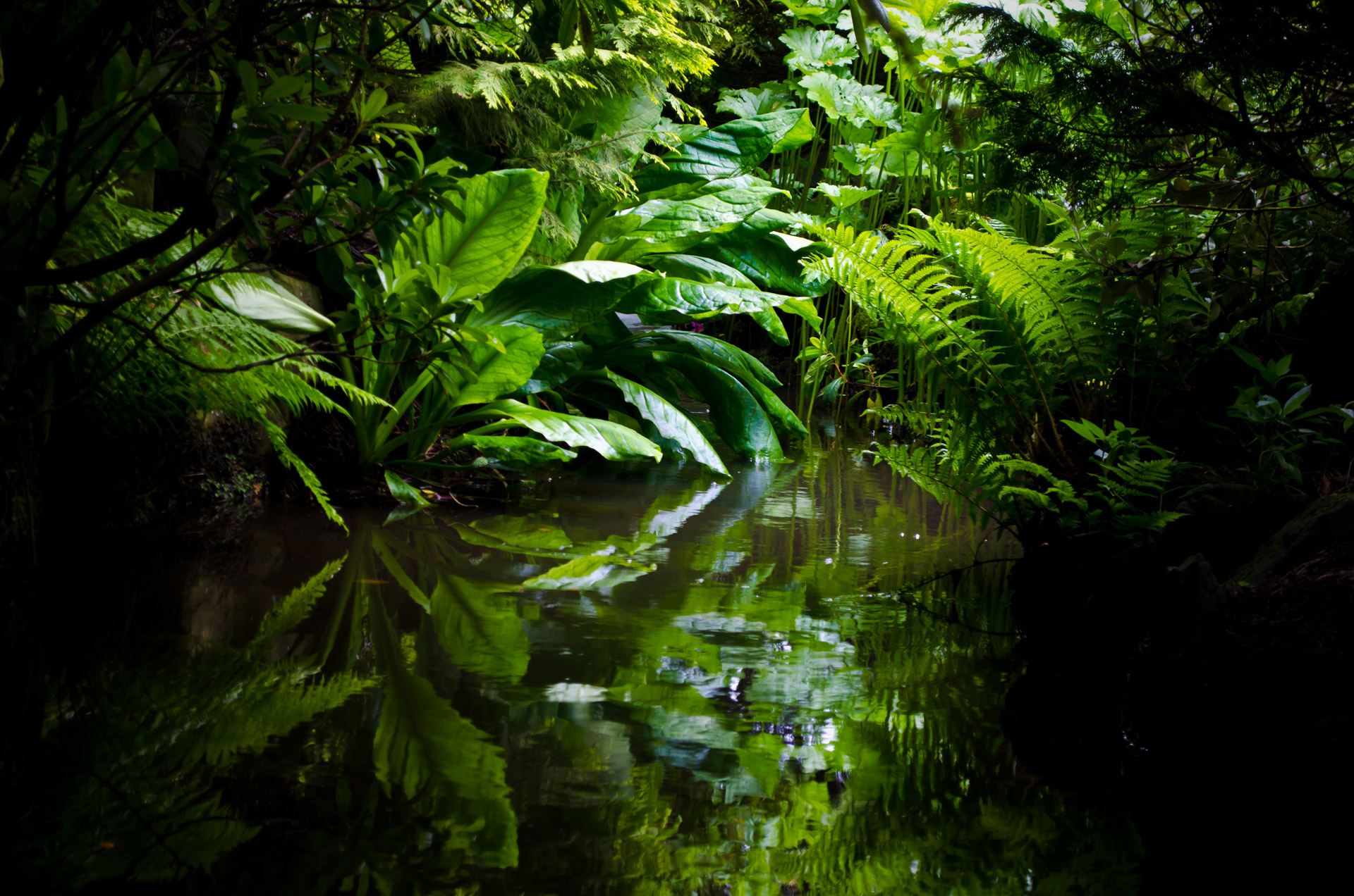 edenflow-serenityrooms.com's image