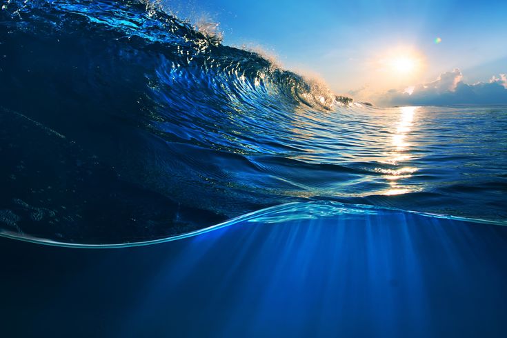 edenflow-serenityrooms.com's image