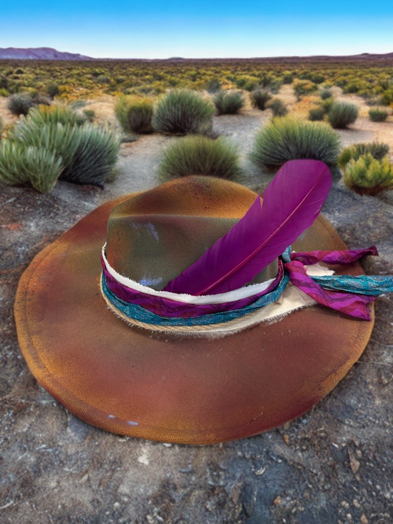 Hats of the high desert's image