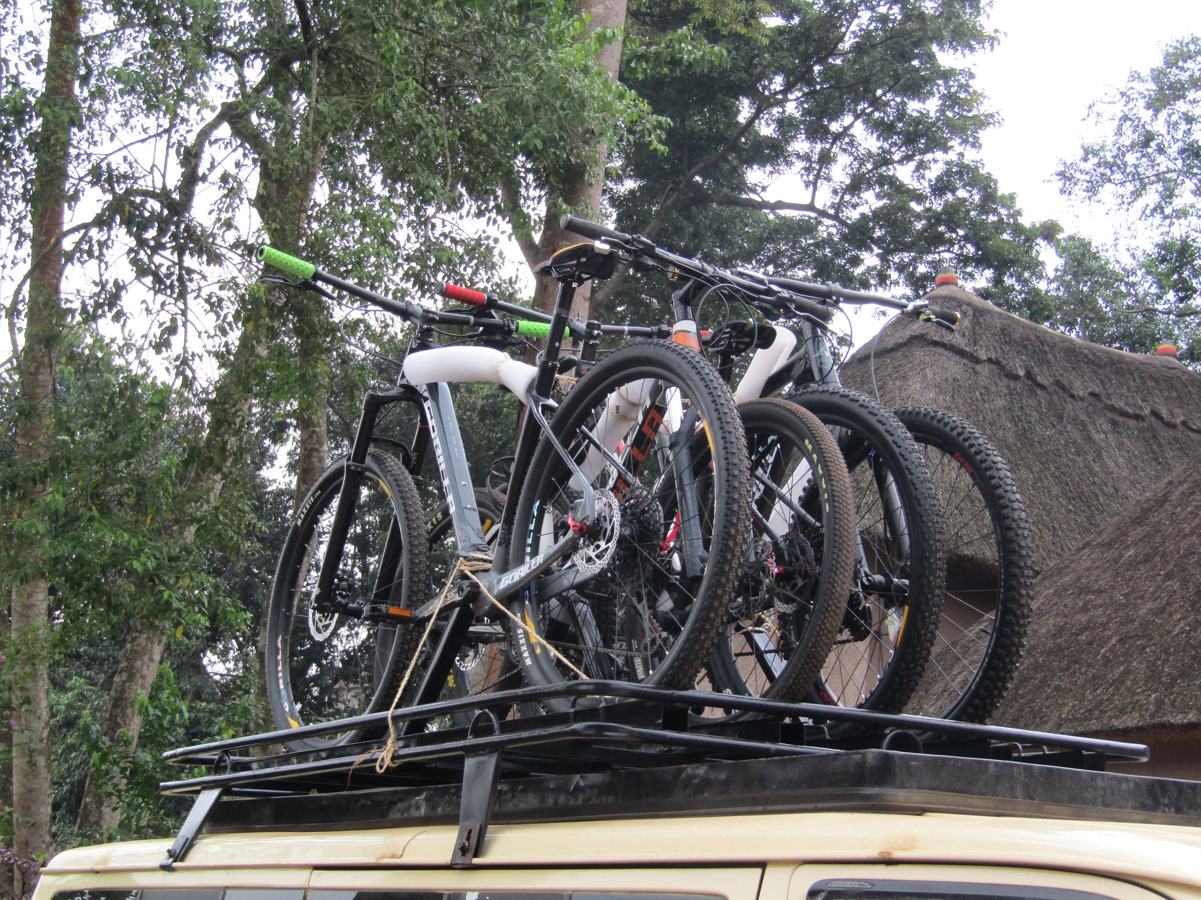 Uganda’s Wild, Done Right's image