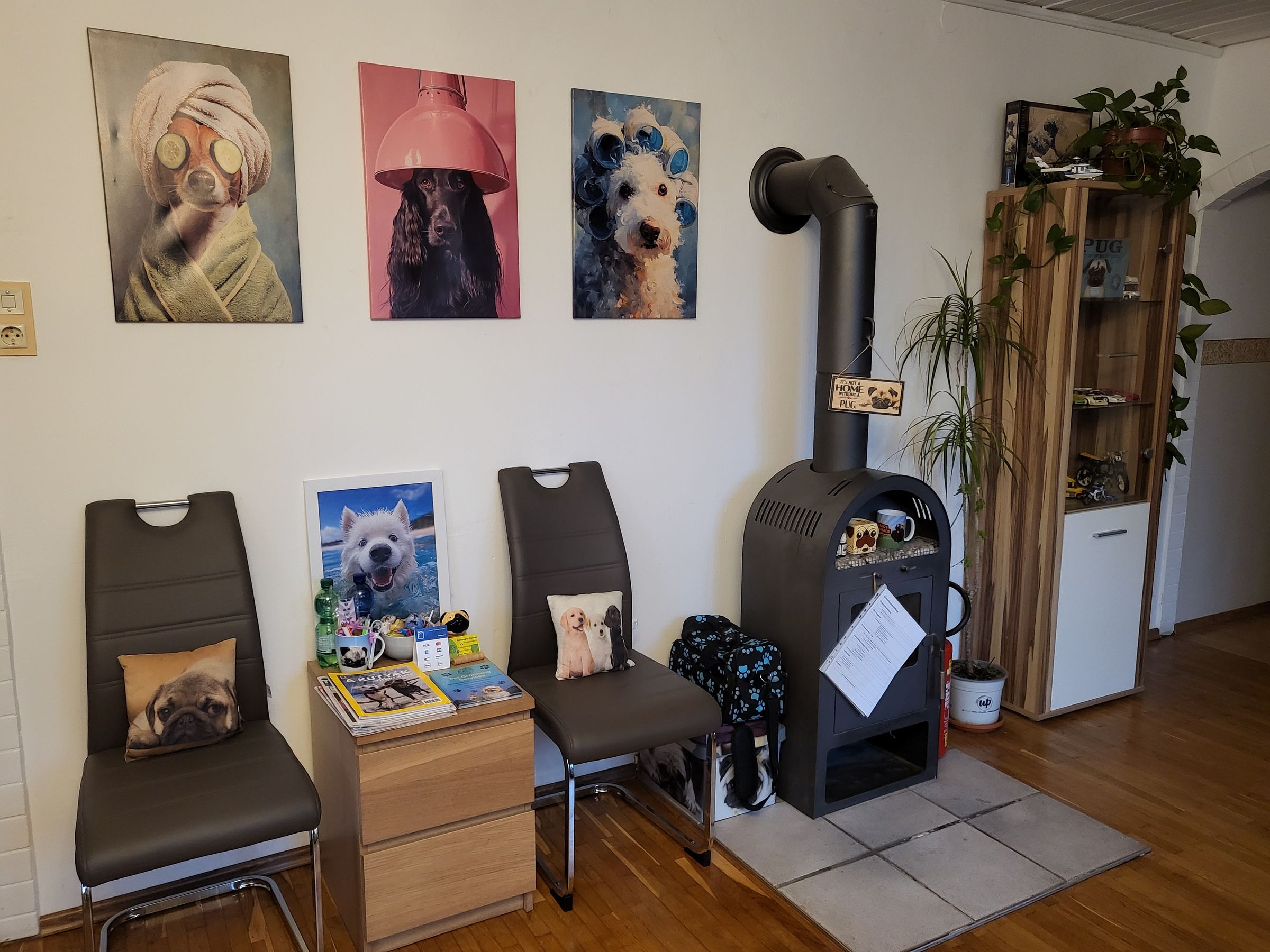 TUKI Hundesalon's image