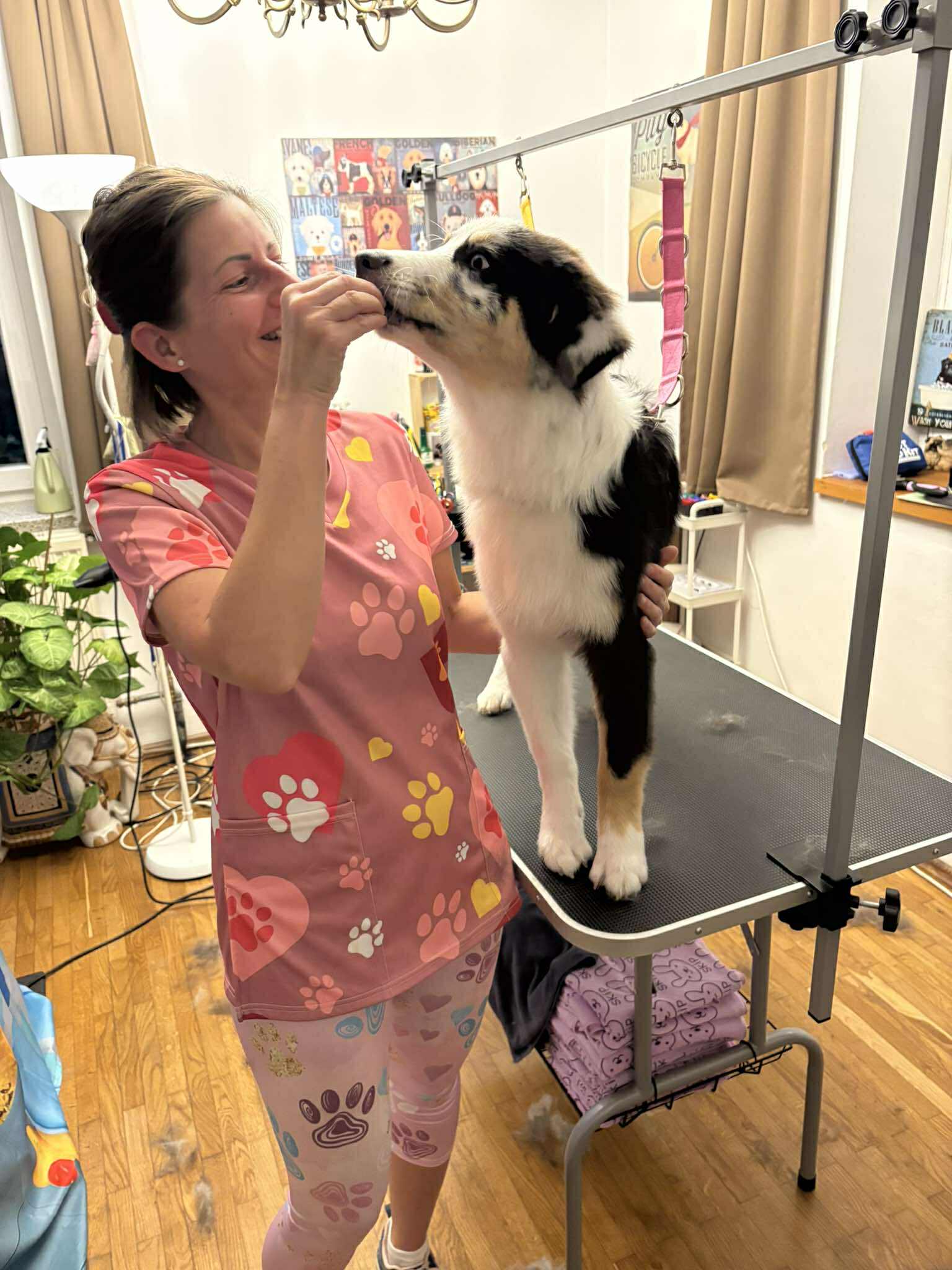 TUKI Hundesalon's image