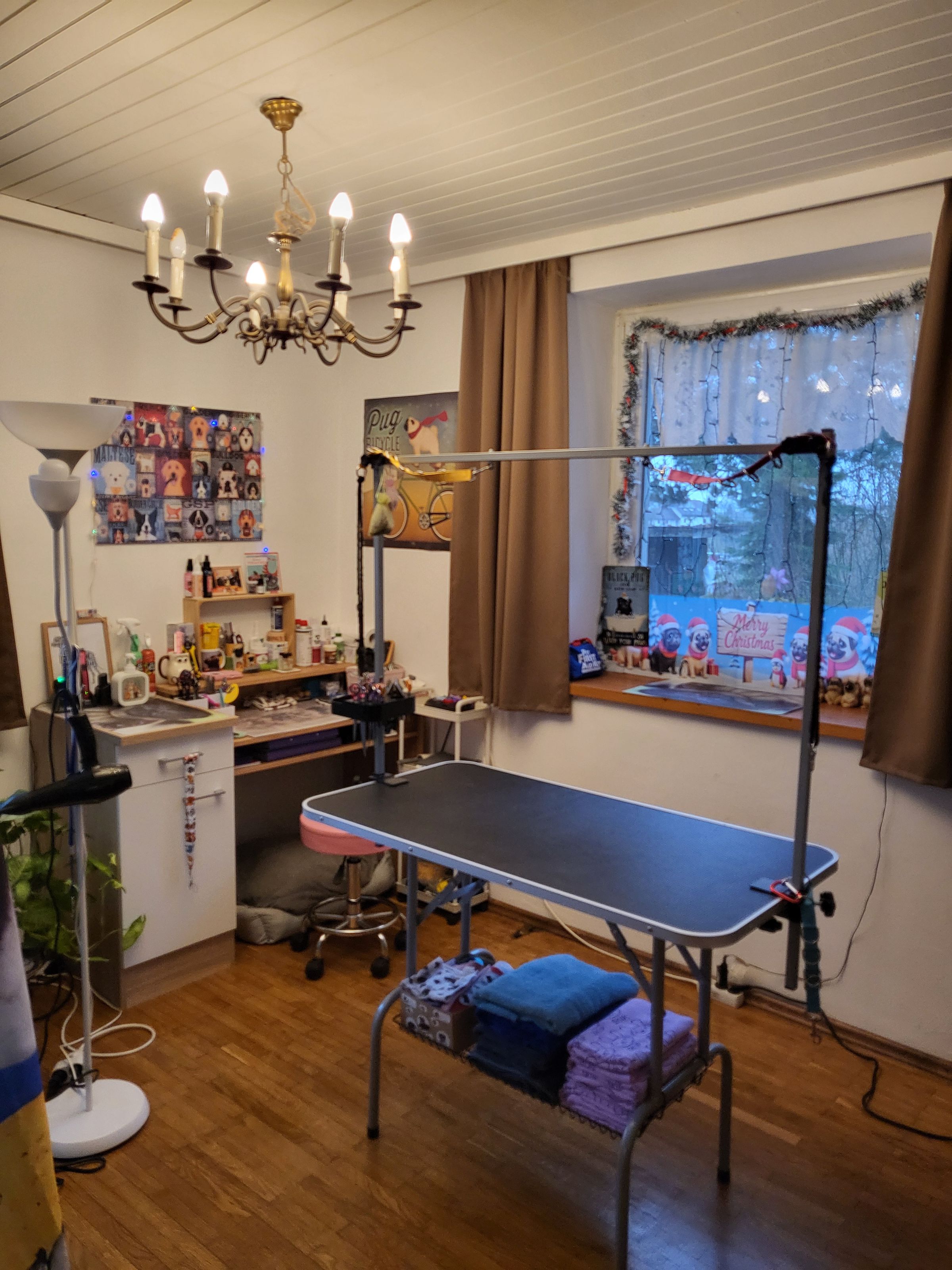 TUKI Hundesalon's image