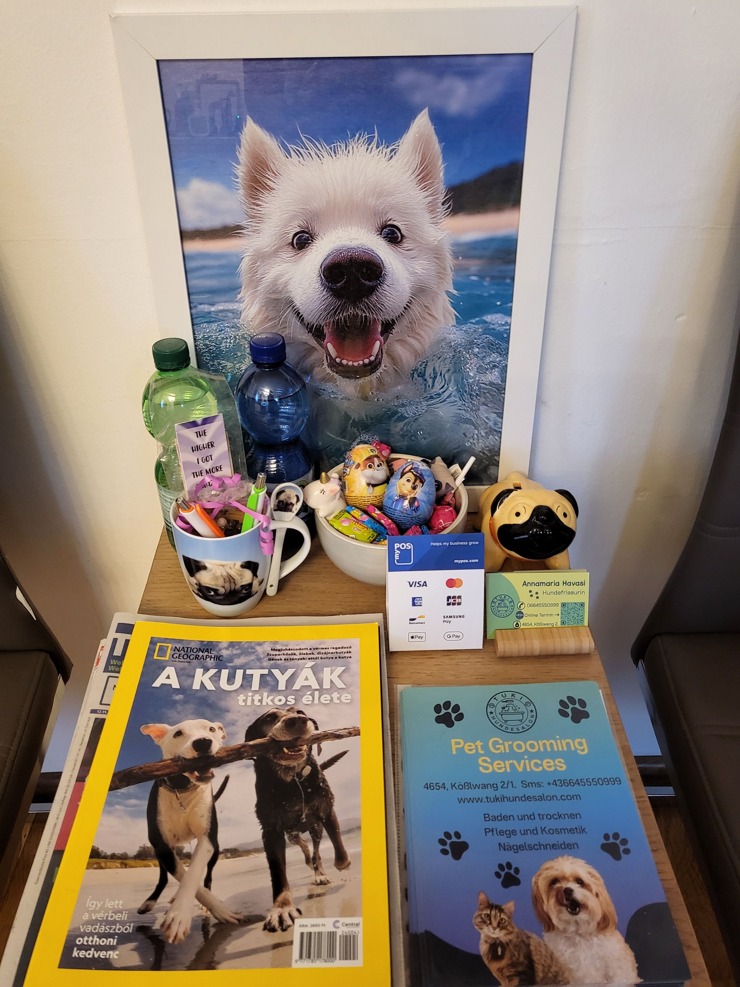 TUKI Hundesalon's image