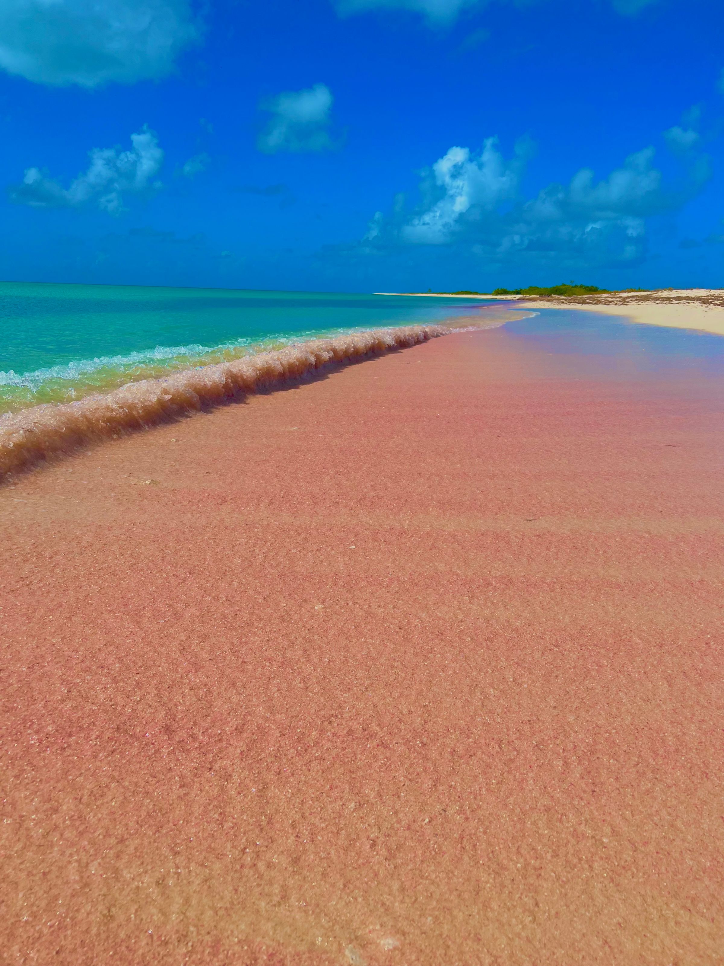 AquaticVoyagesBarbuda 's image