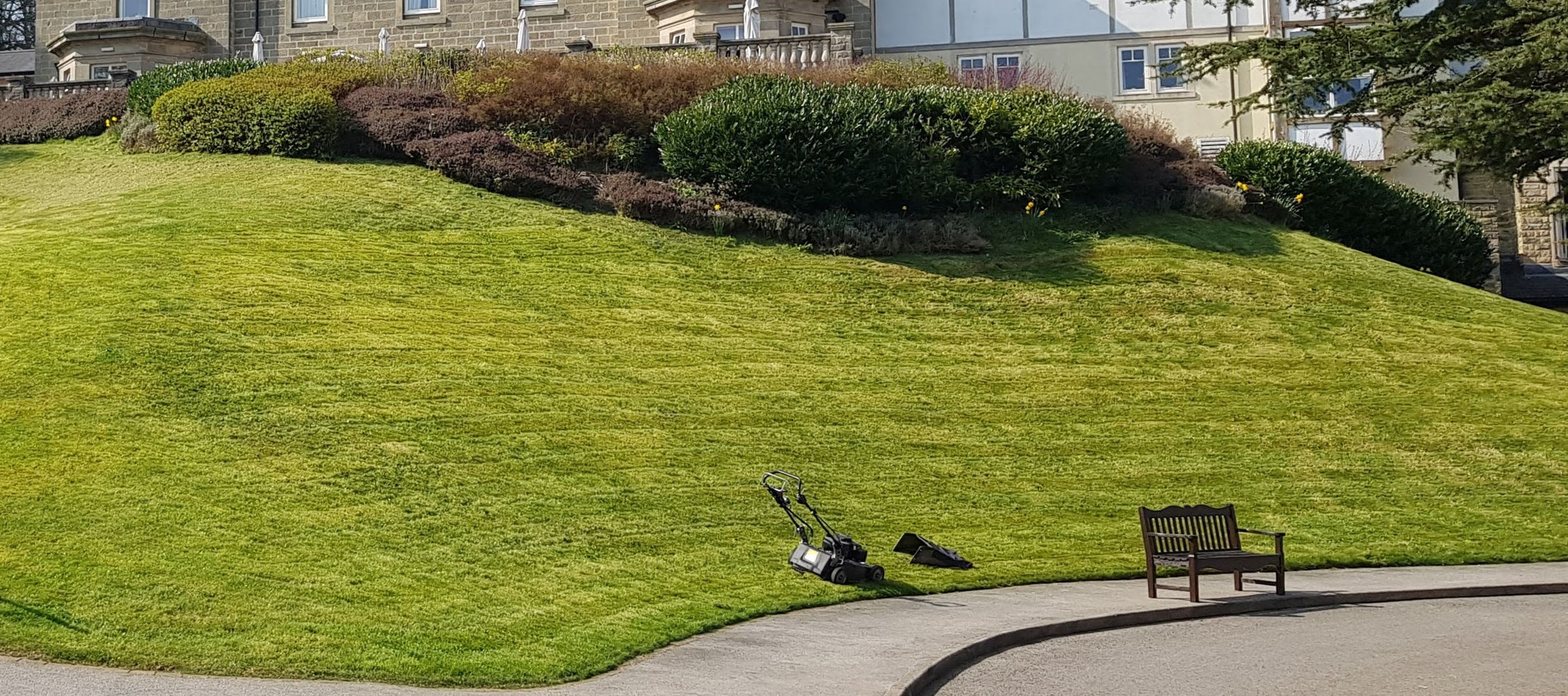 White Rose Horticulture's image