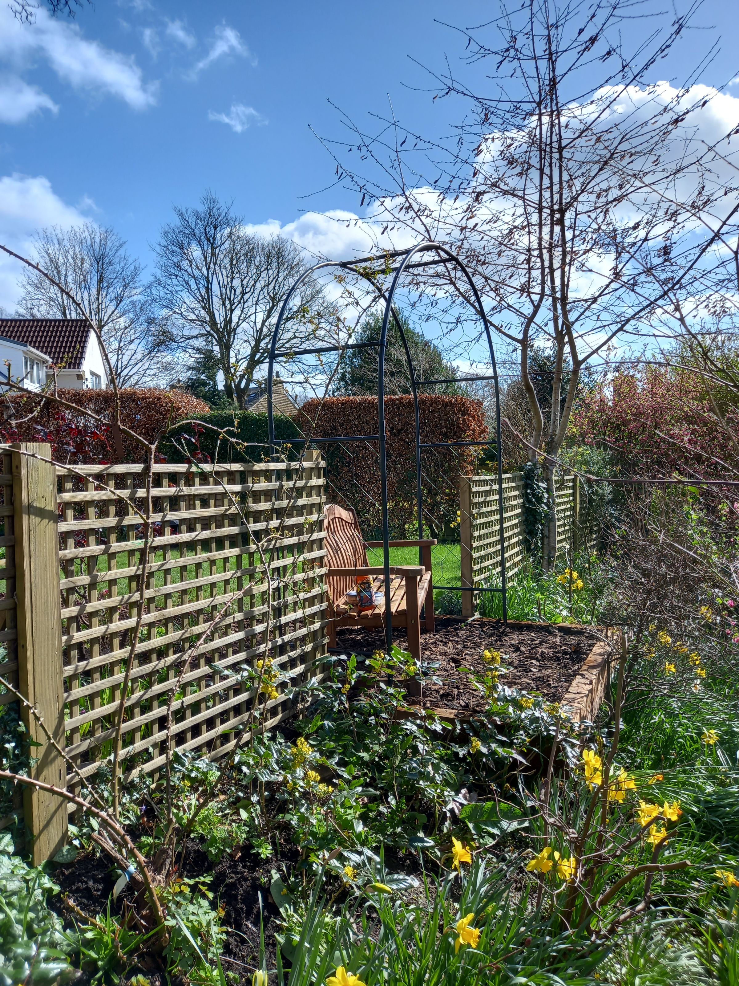 White Rose Horticulture's image