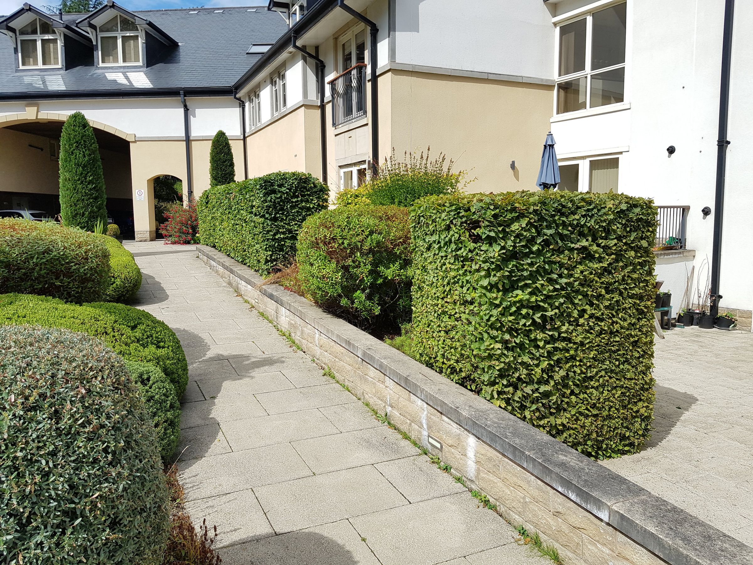 White Rose Horticulture's image