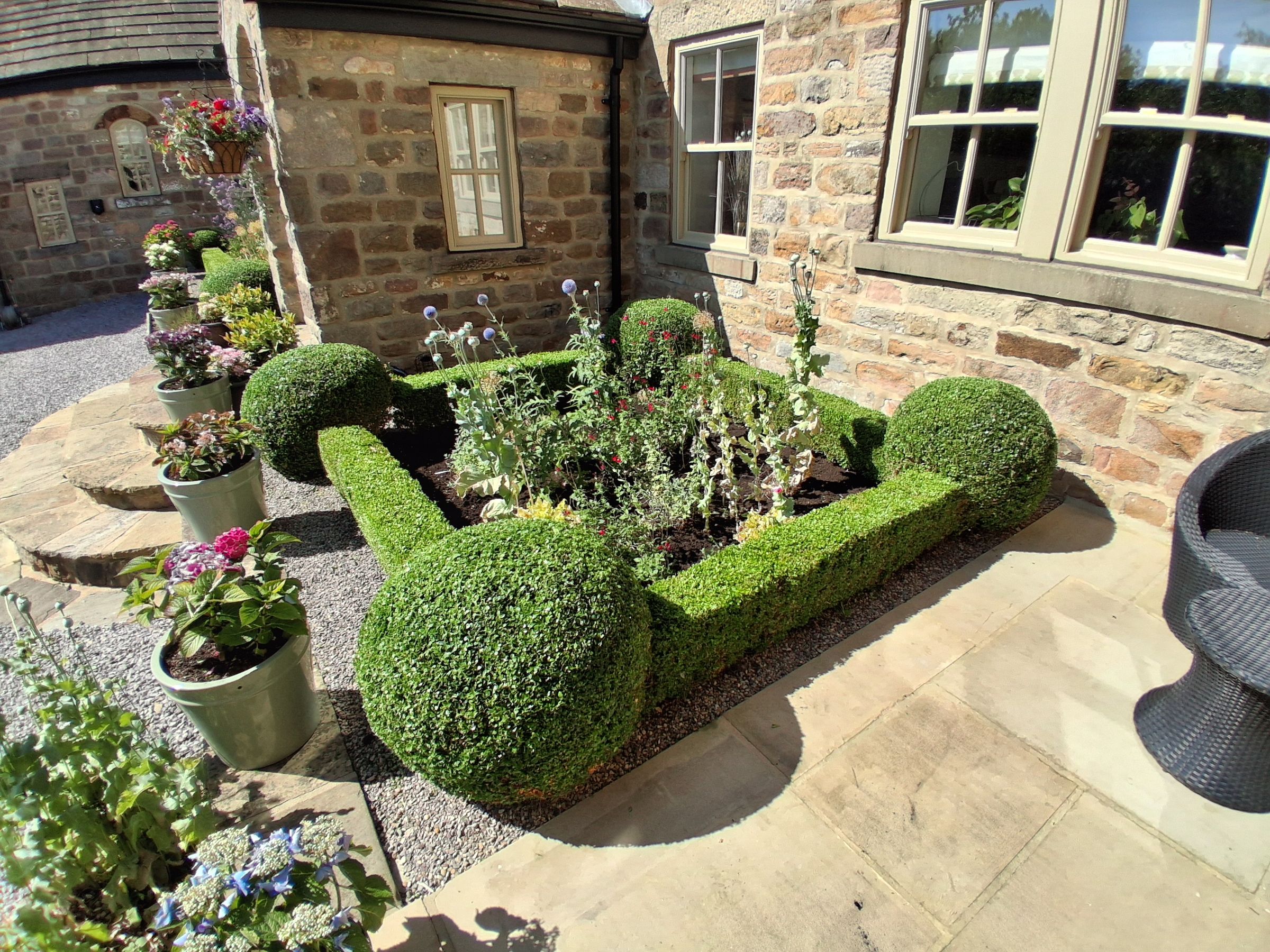White Rose Horticulture's image