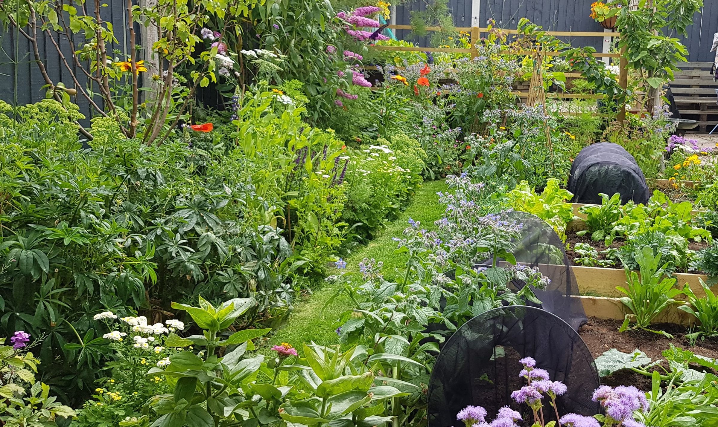 White Rose Horticulture's image