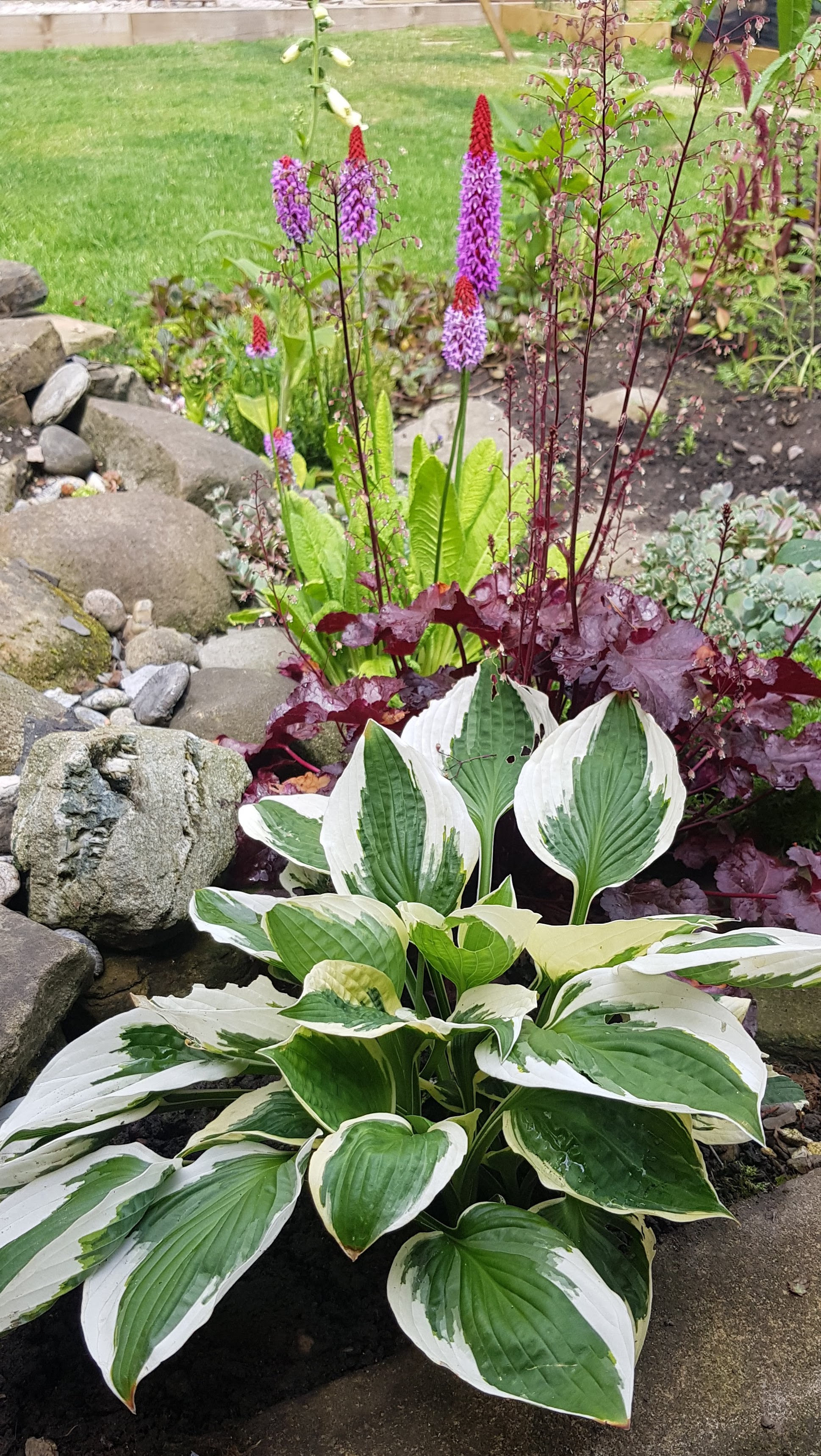 White Rose Horticulture's image