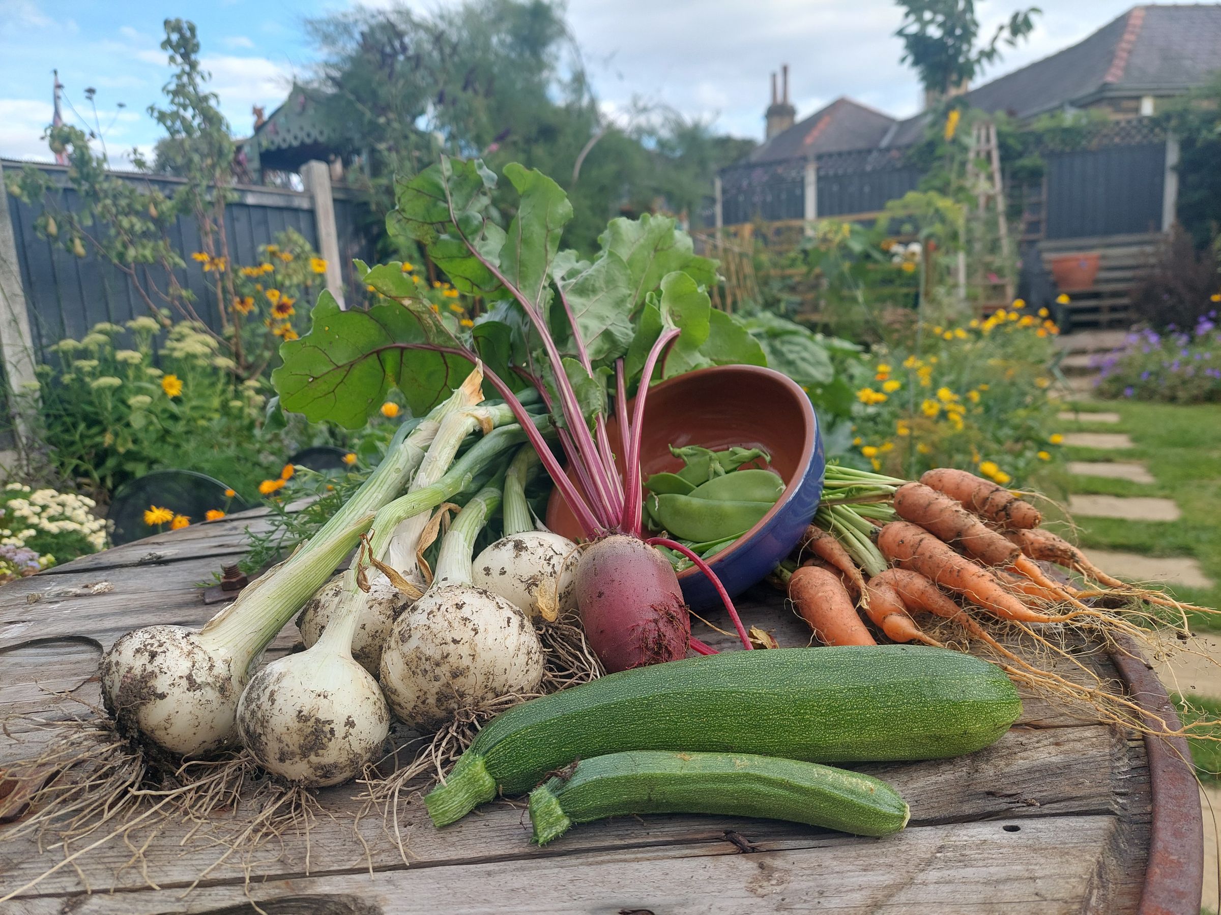 White Rose Horticulture's image