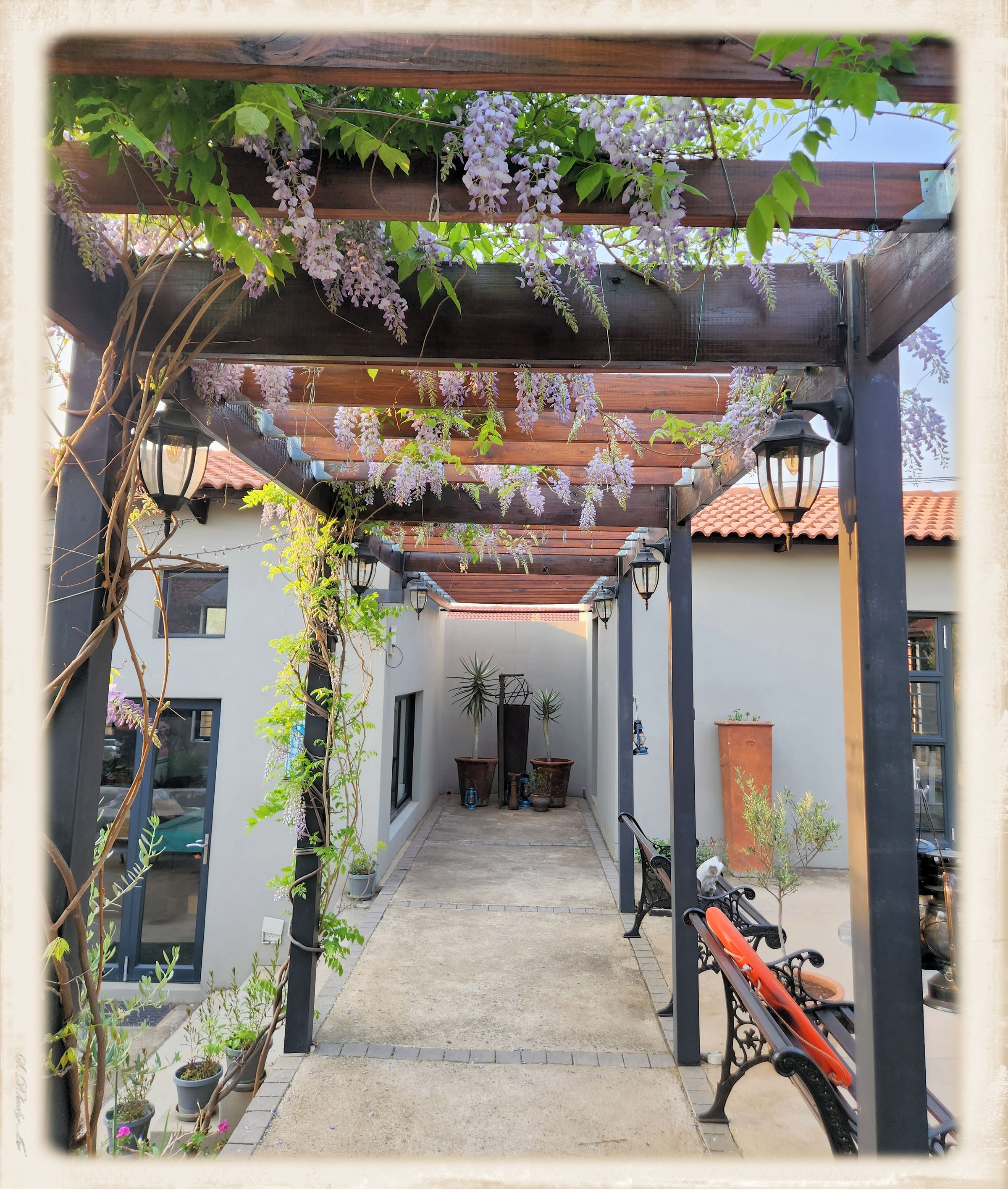 Purple rain leading the way to the gym and fire pit