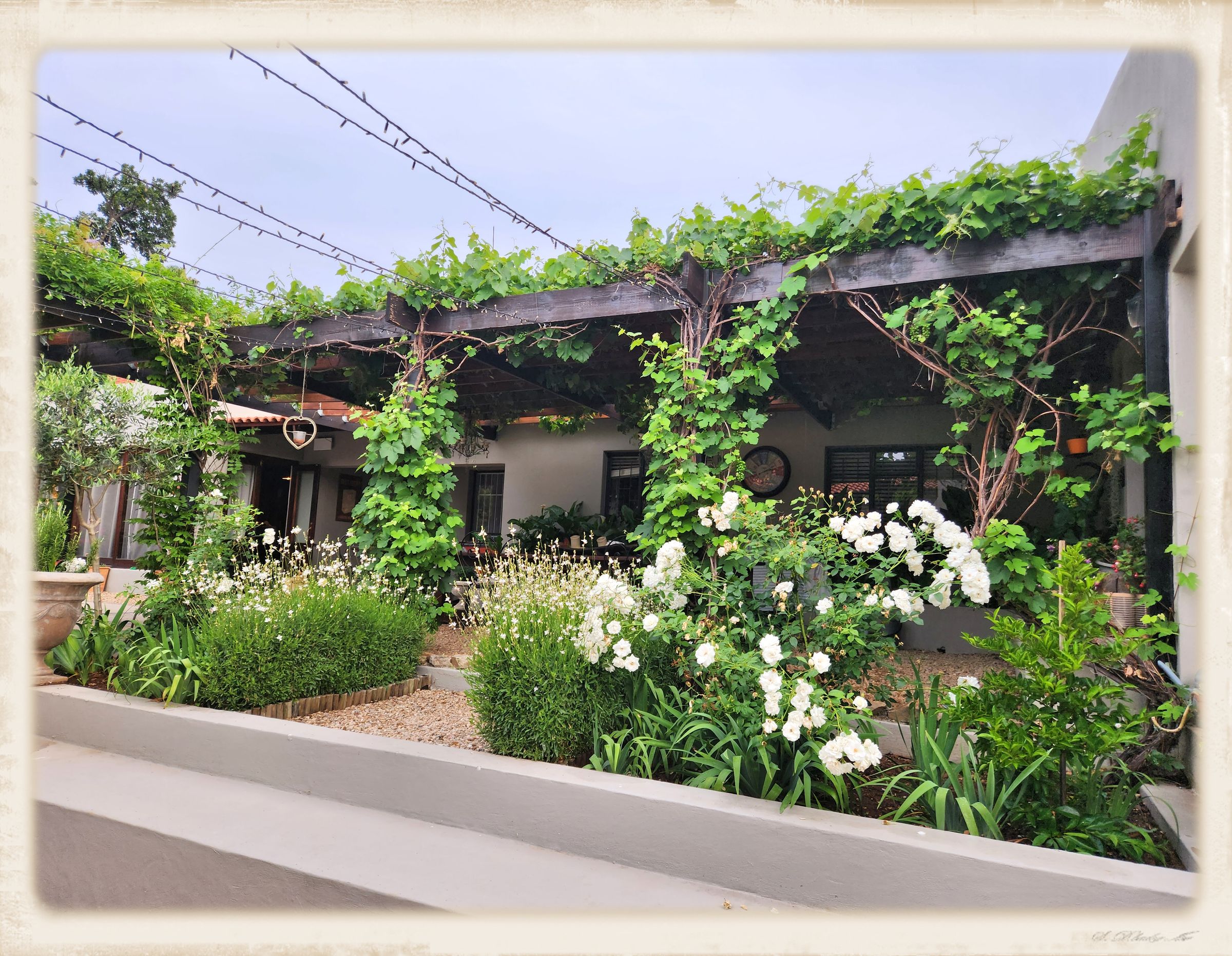 The view of the pergola from the fire pit