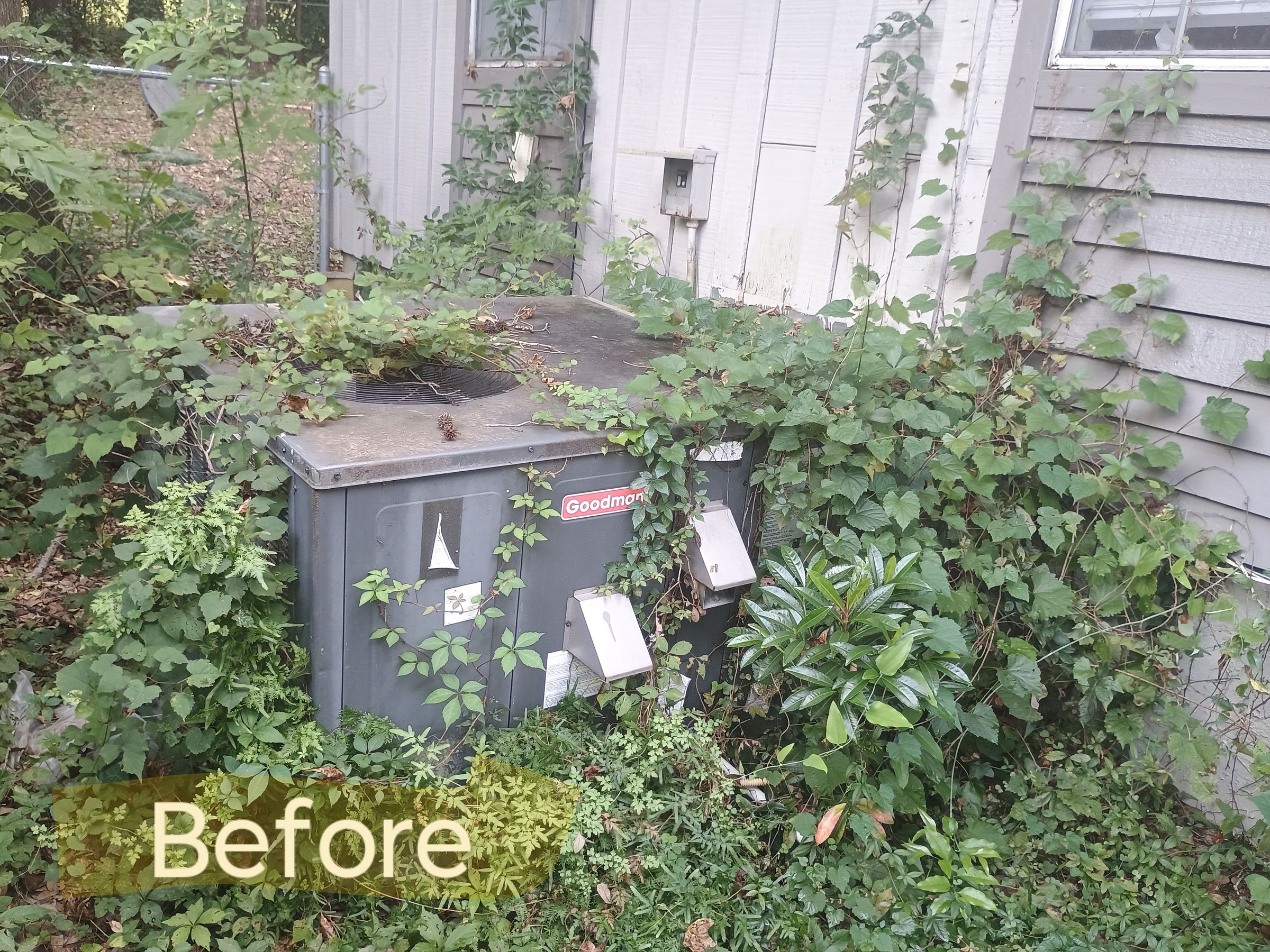 Gabby's Cleanhouse Solutions 's image