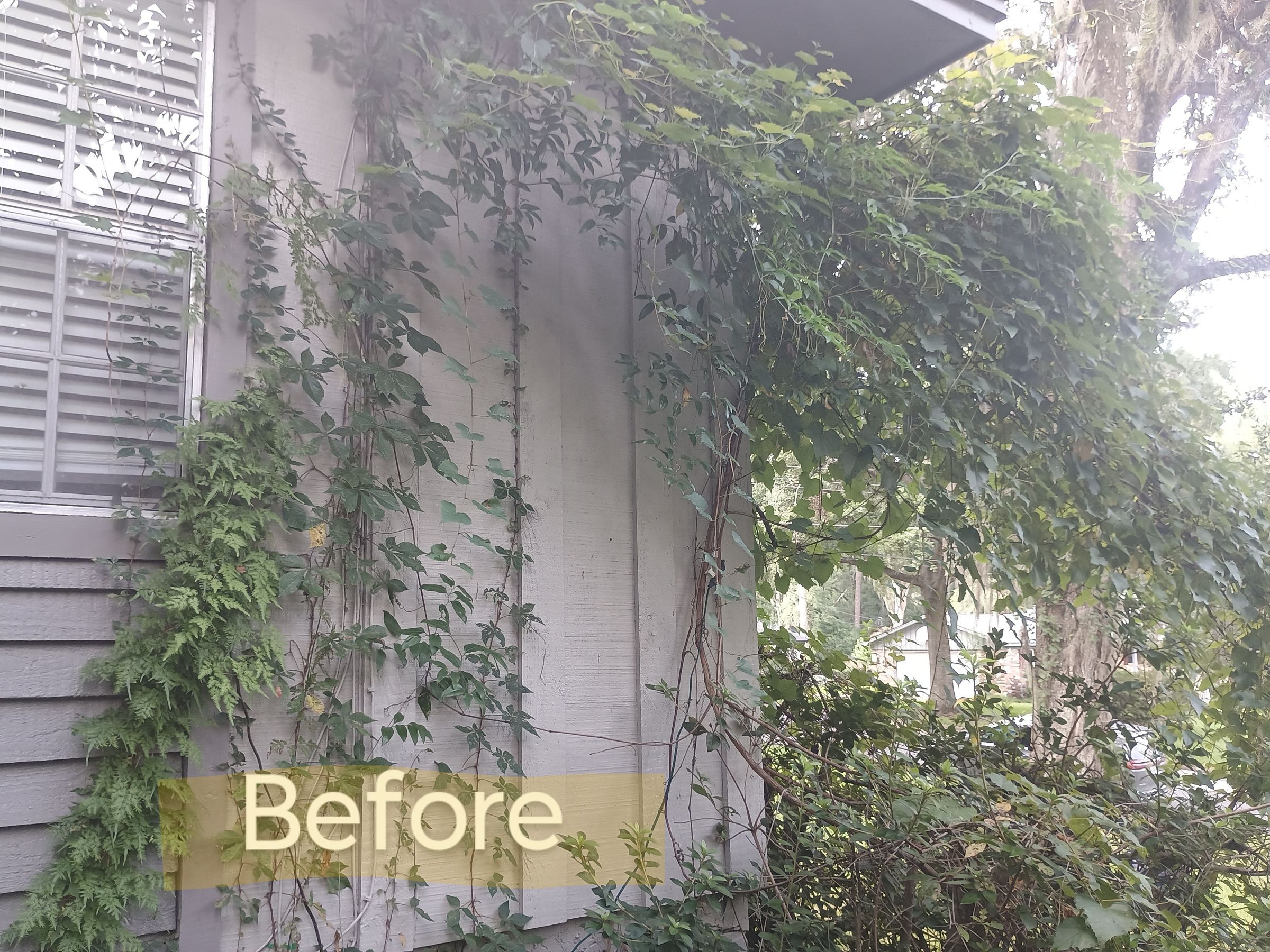 Gabby's Cleanhouse Solutions 's image