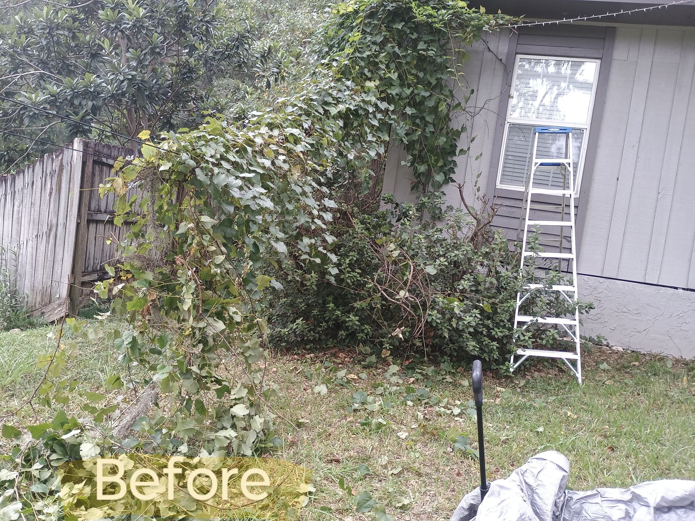 Gabby's Cleanhouse Solutions 's image