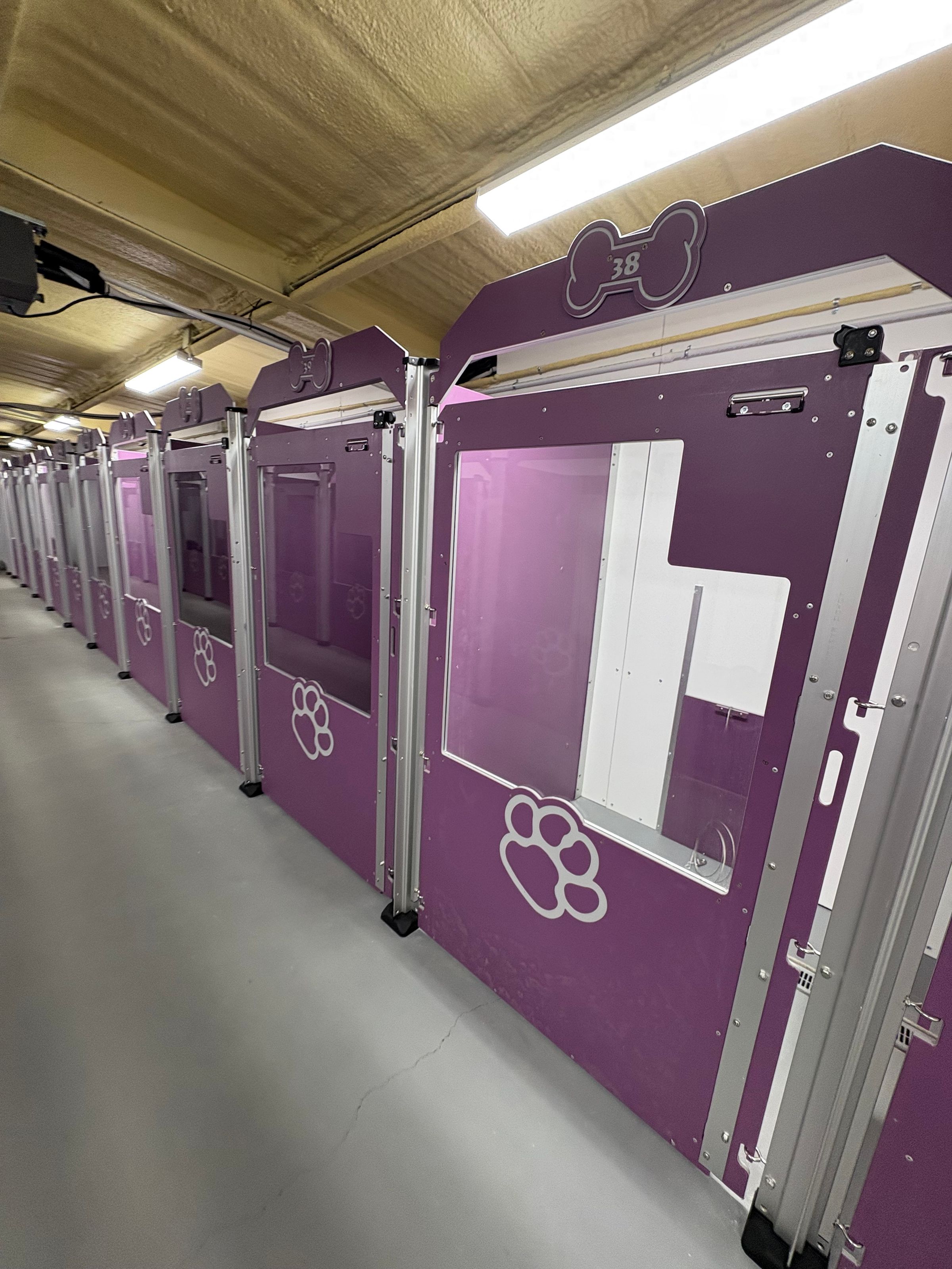 Purple Kennel Building