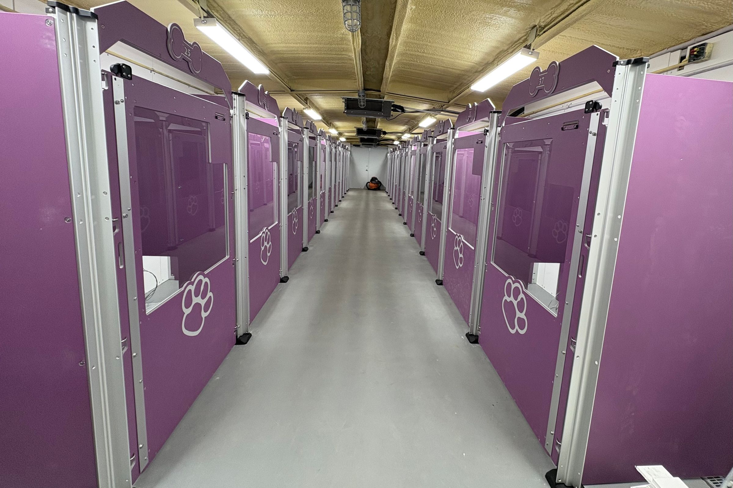 Purple Kennel Building