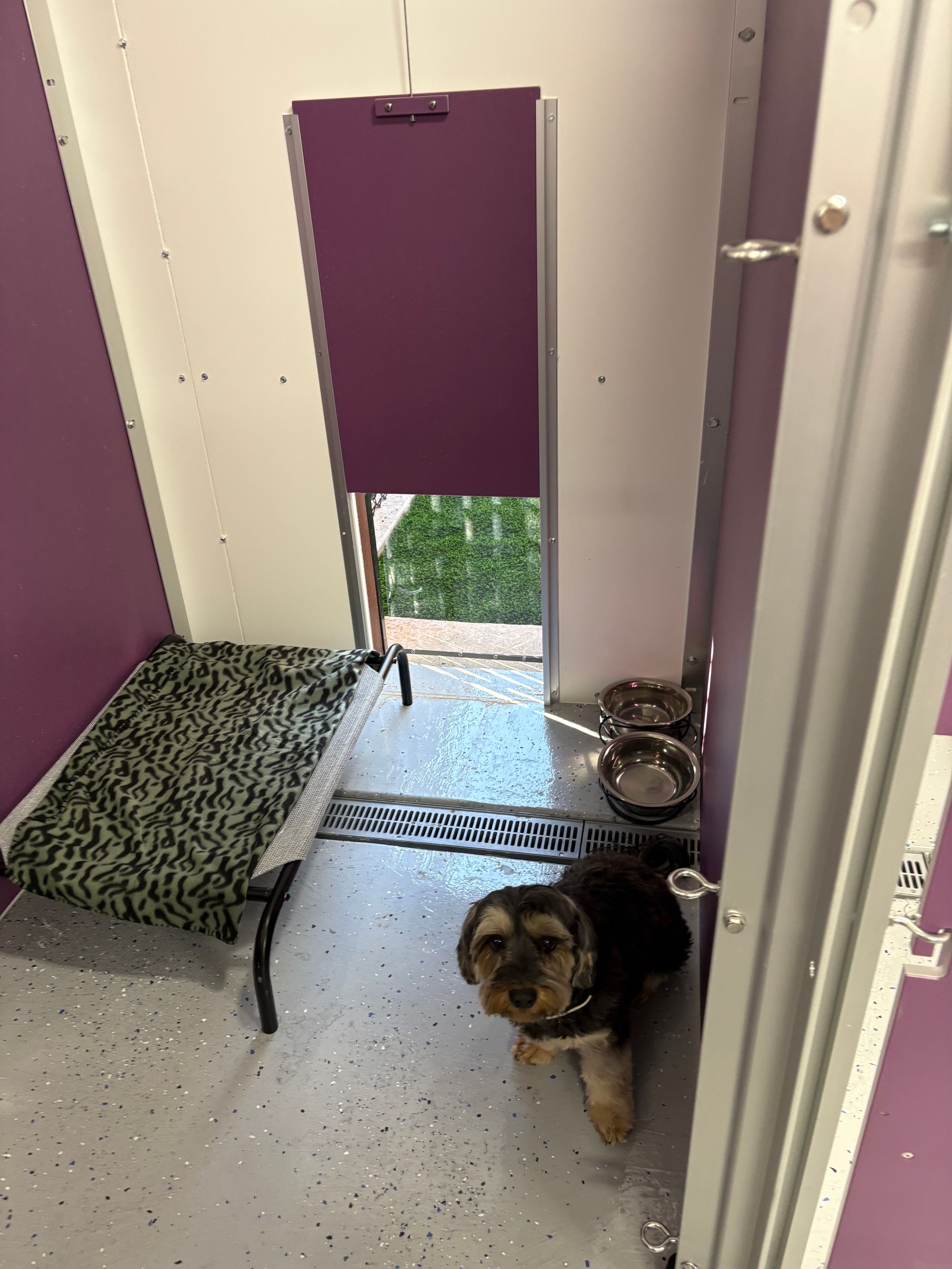 4x4' Kennel with Small Dog and Small Cot