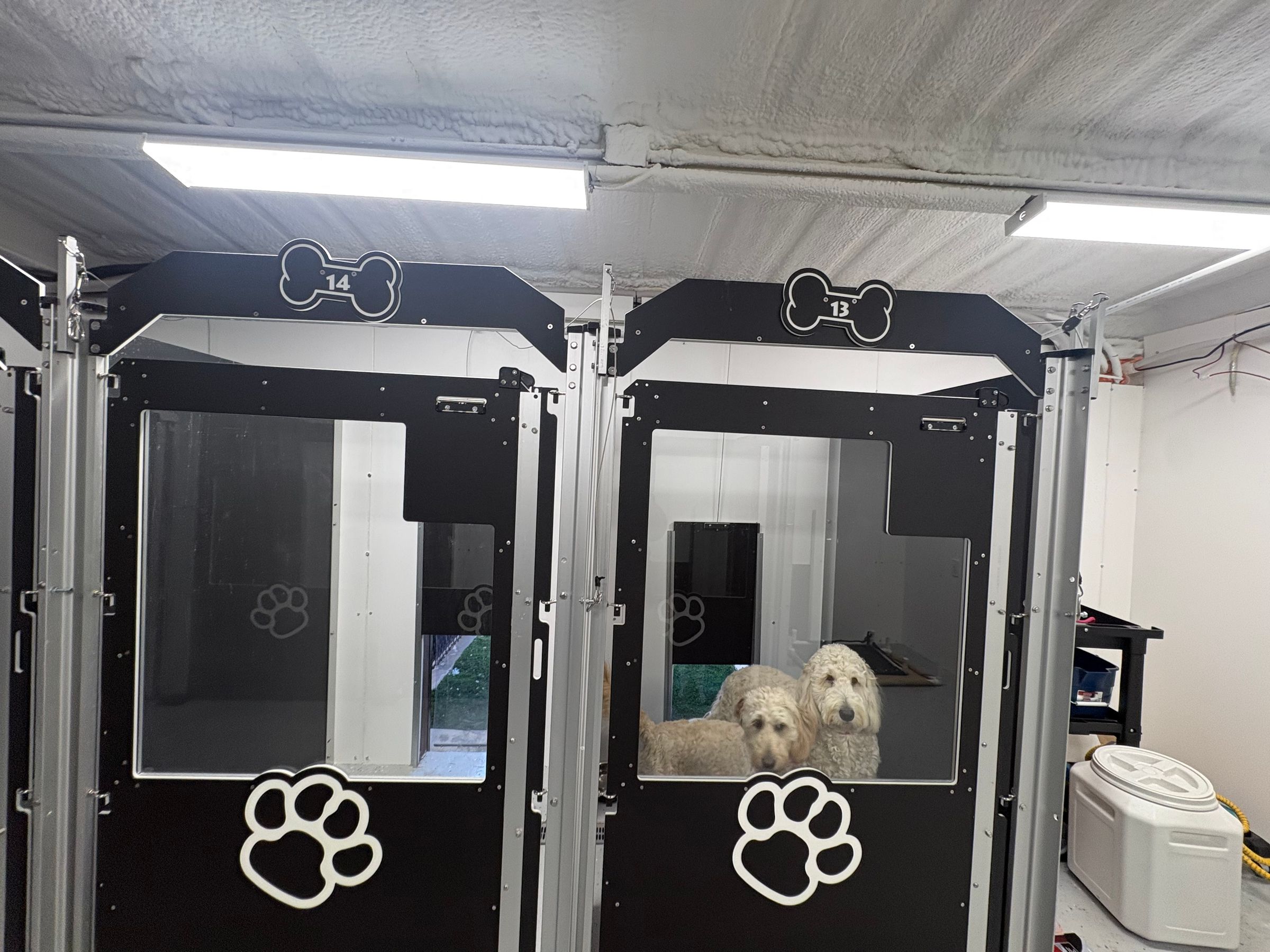 Two 4x4' Connecting Kennels