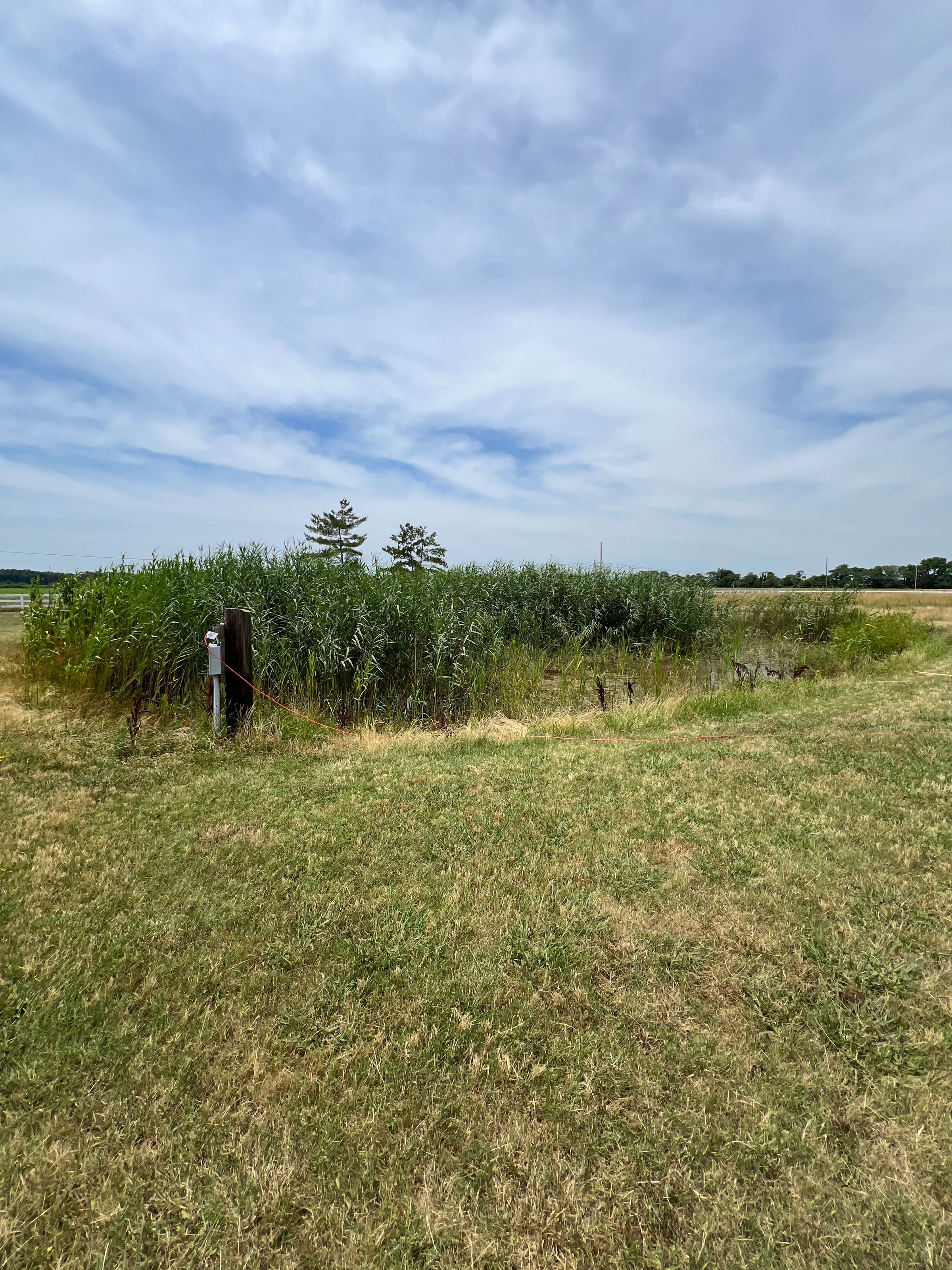 Adkins Excavation and Grading's image
