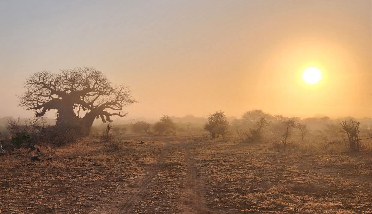 Big 6 Excursions Tours's image