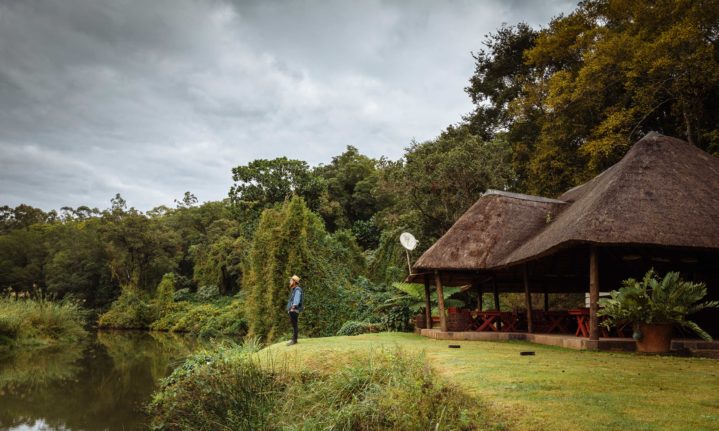 Big 6 Excursions Tours's image