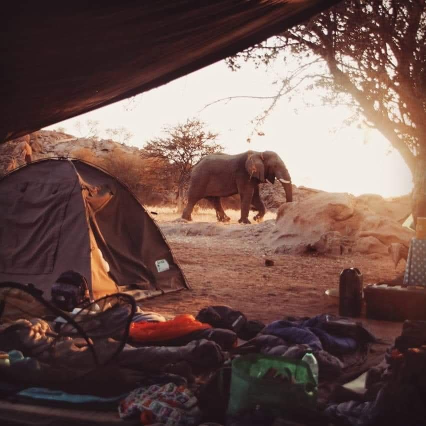 Big 6 Excursions Tours's image