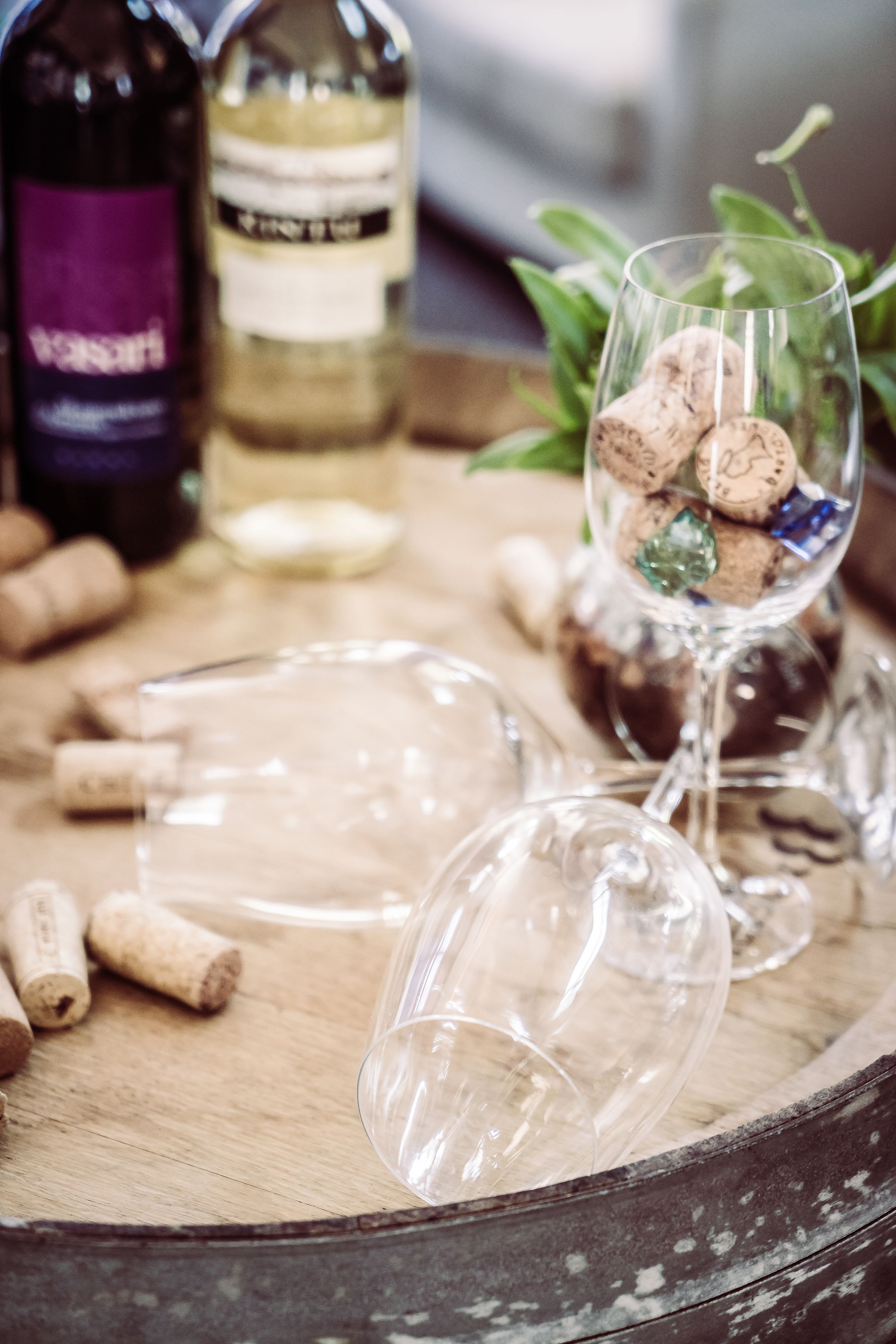 Big 6 Excursions Tours's image