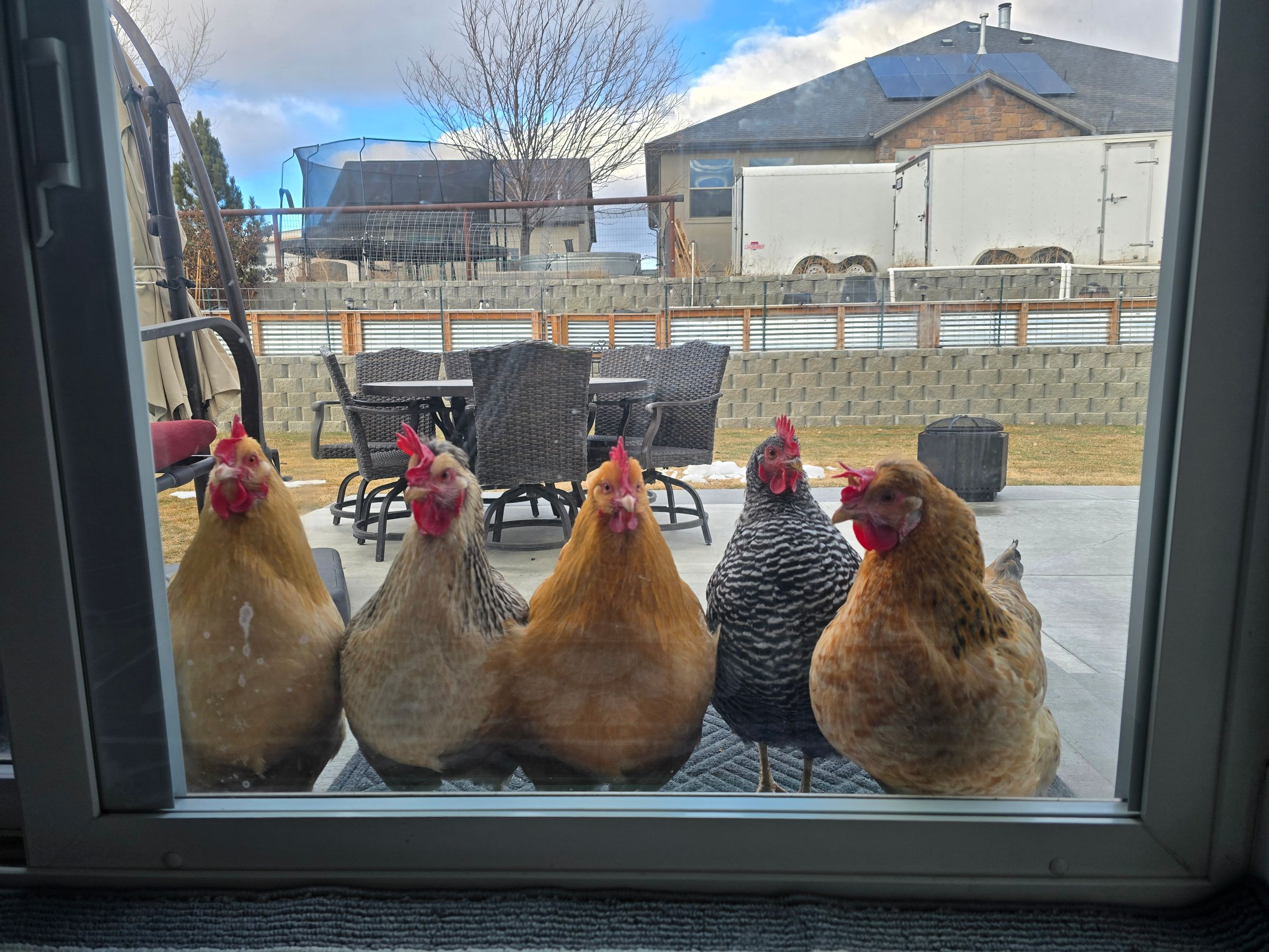 Rise & Thrive Counseling LLC's image